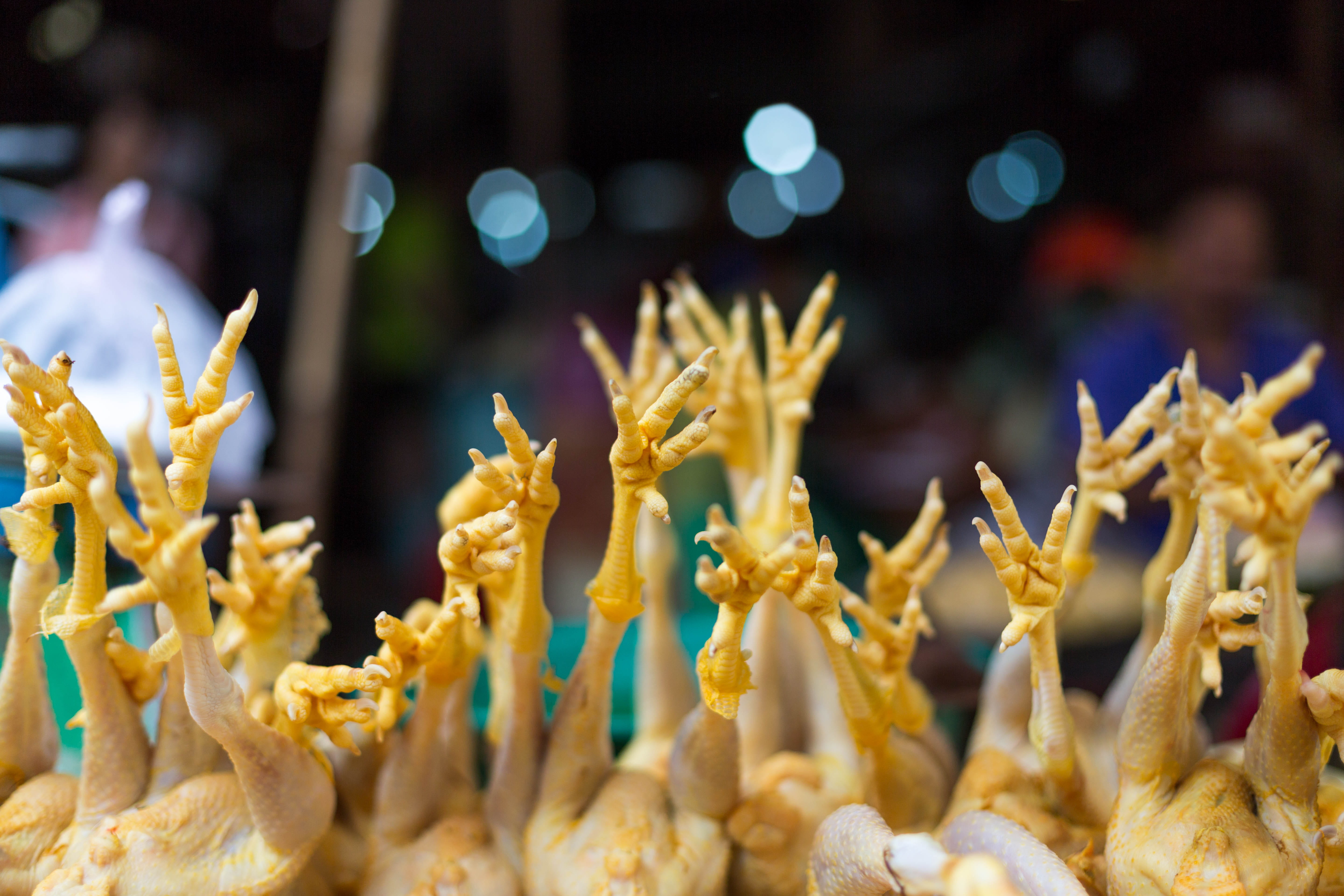 fried, snack, street food, deep fried, large group of objects, food, day, business, ready-to-eat, retail, cambodia, close-up, freshness, no people, abundance, HD Wallpaper