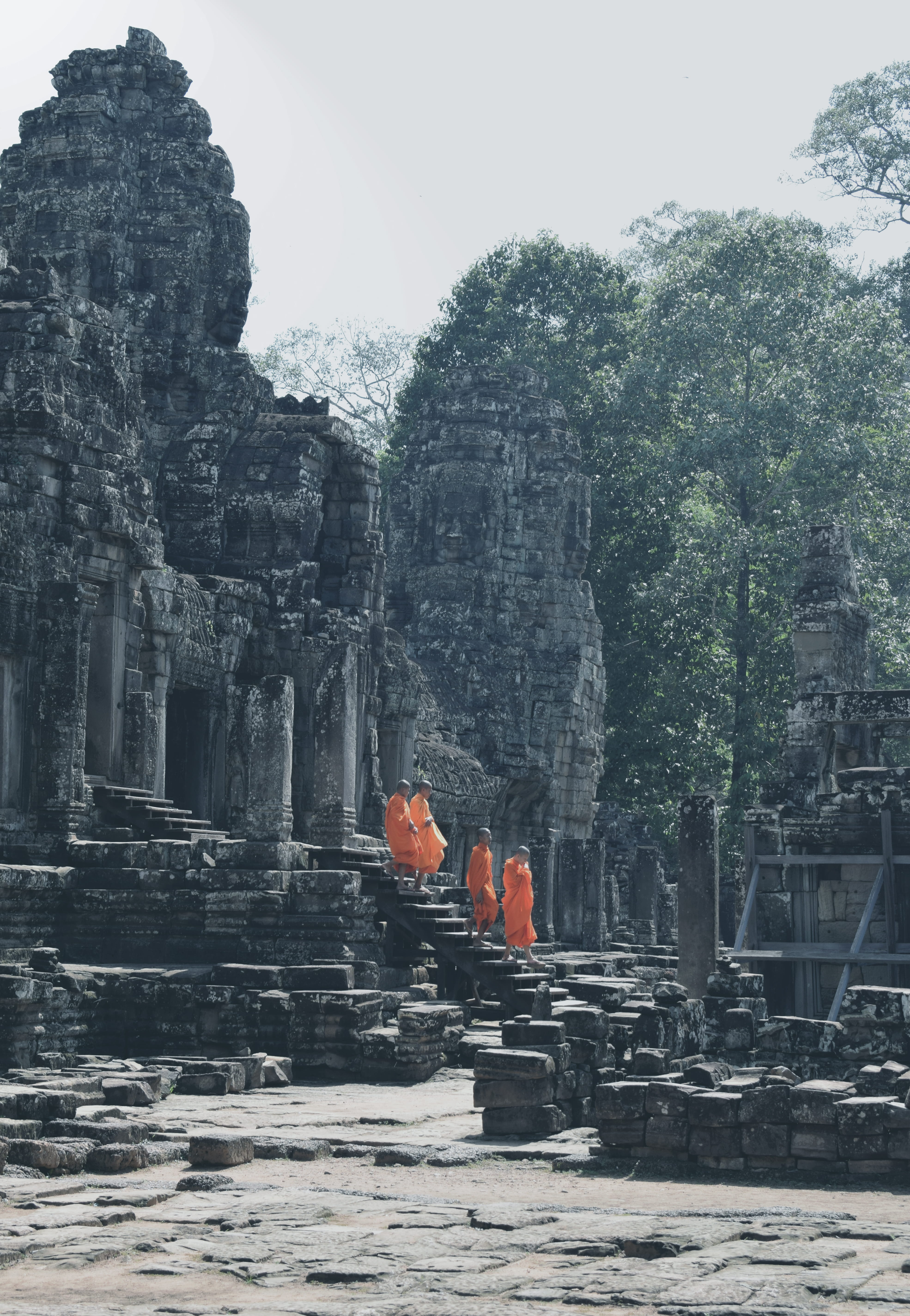 day, spirituality, outdoors, nature, tree, belief, buddhist, place of worship, tourism, history, orange, architecture, ruins, cambodia, travel, travel destinations, Phone HD Wallpaper