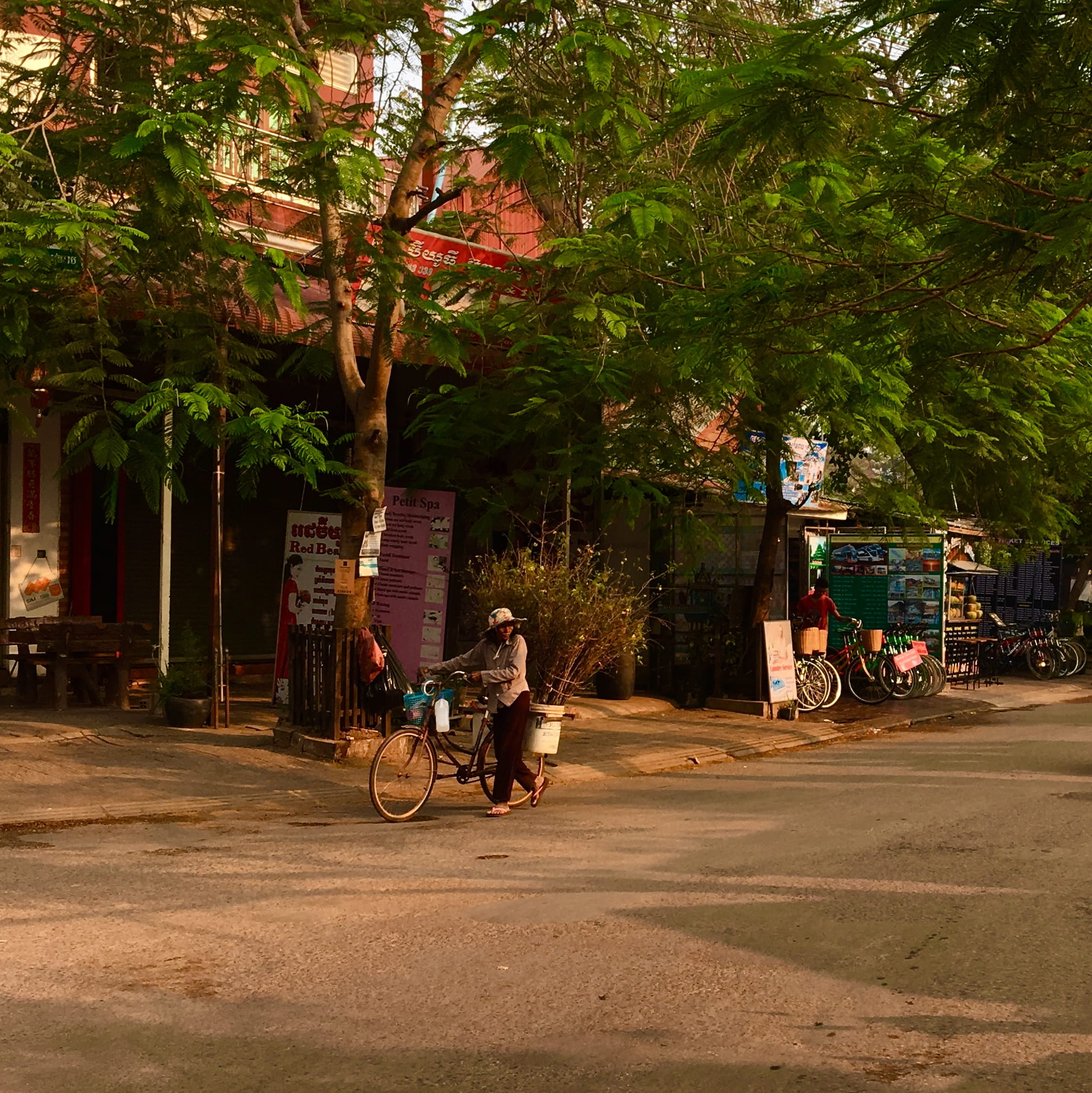 mode of transportation, nature, transportation, group of people, people, krong siem reap, cambodia, real people, road, incidental people, growth, street photography, Phone HD Wallpaper