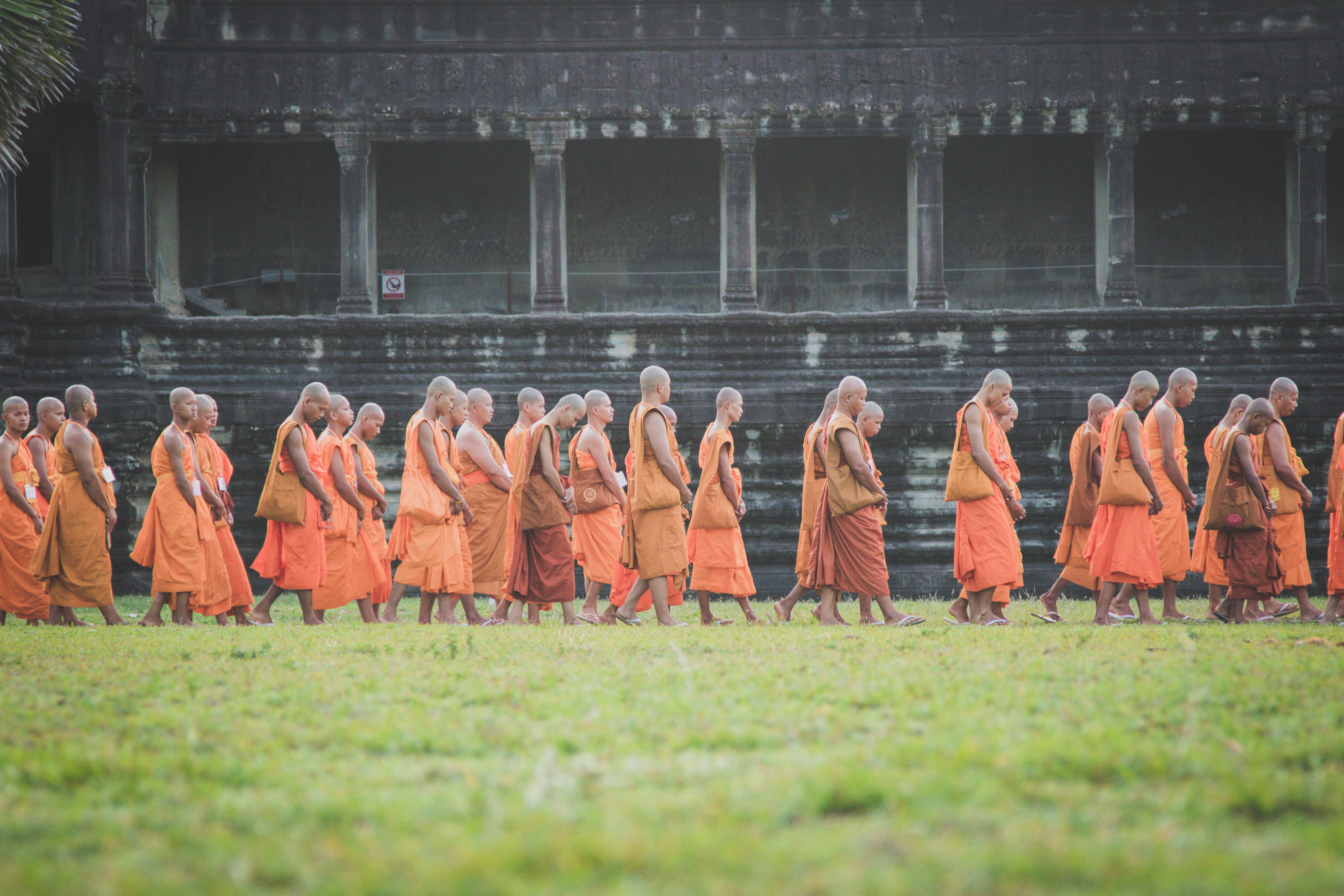 krong siem reap, built structure, buddhist, in a row, standing, asian, day, life, angkor wat, outdoors, angkor, photography, uniform, traditional clothing, HD Wallpaper
