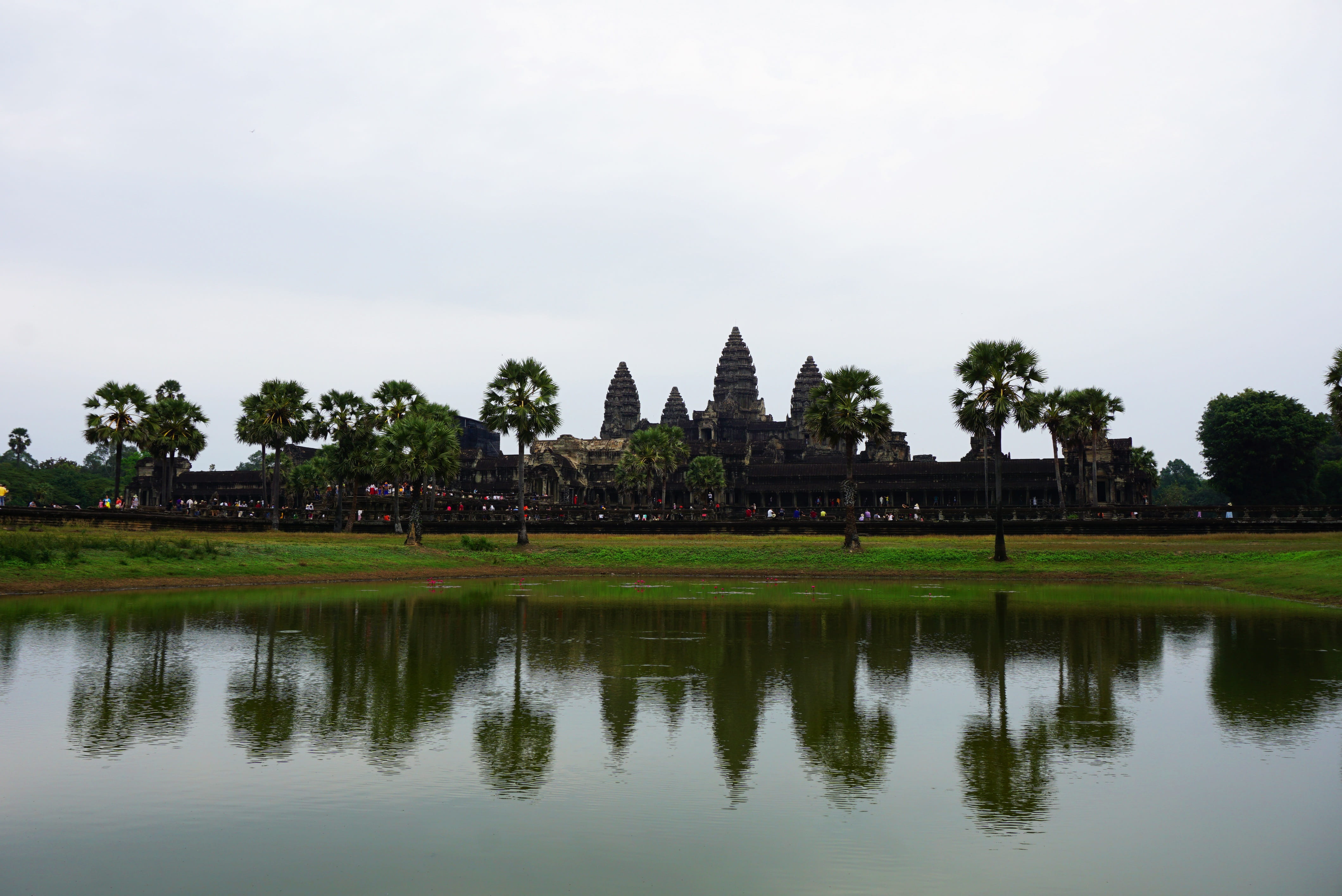 travel, cambodgia, building exterior, ancient, plant, waterfront, sky, religion, nature, spirituality, reflection, temple, water, beauty in nature, building, HD Wallpaper