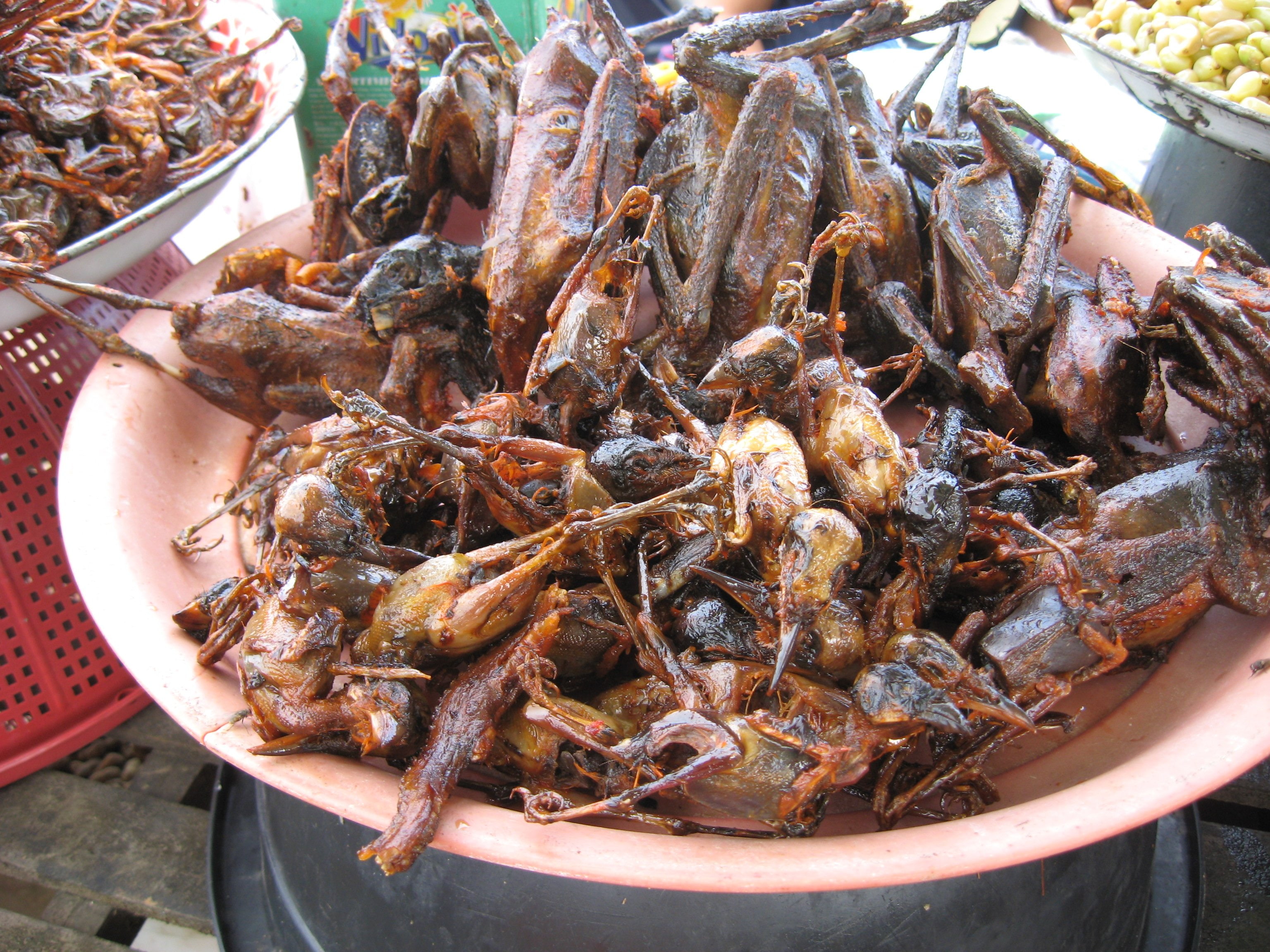 food, cambodia, asian, cambodian, 2K, HD Wallpaper