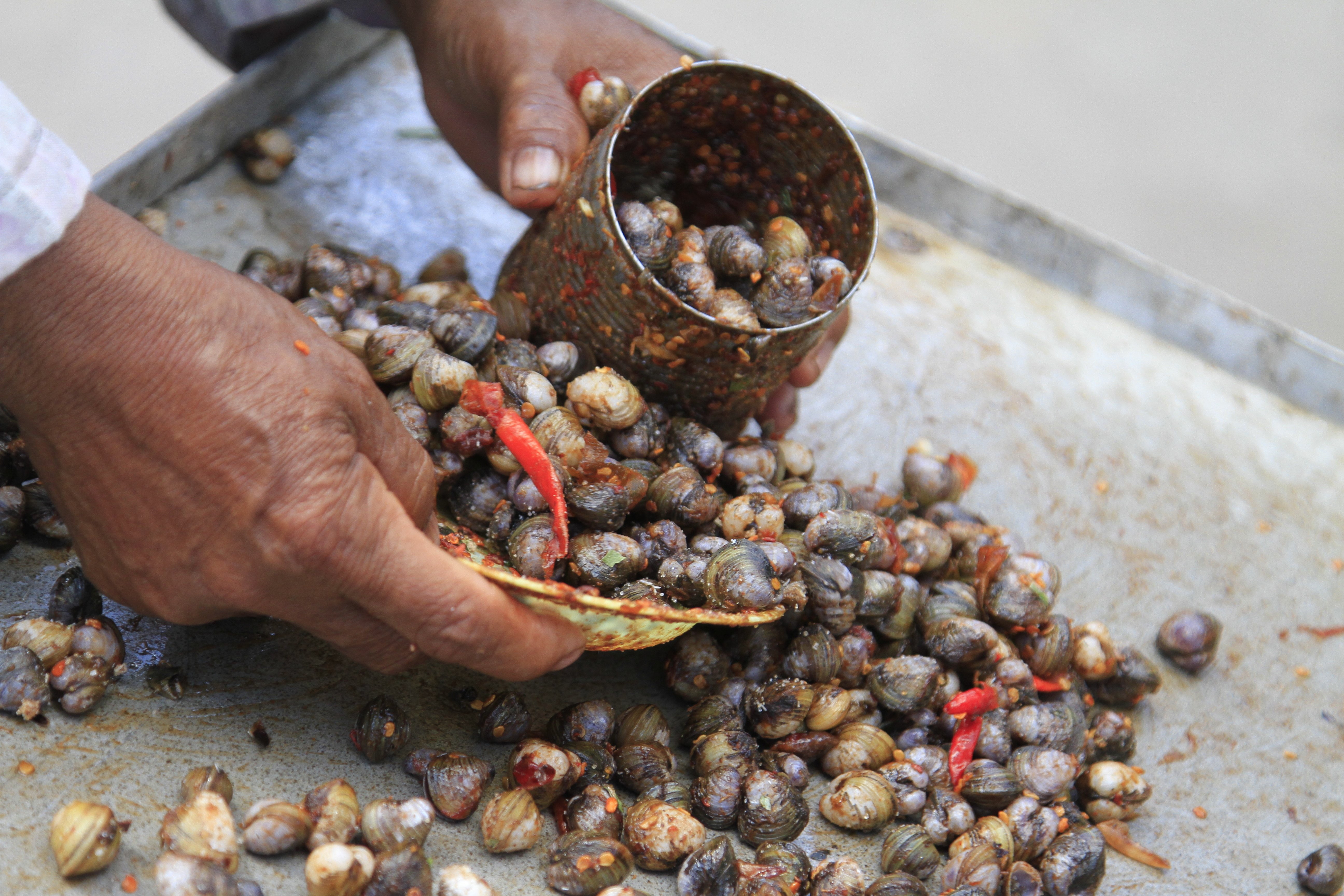 5K, food, cambodian, cambodia, asian, HD Wallpaper