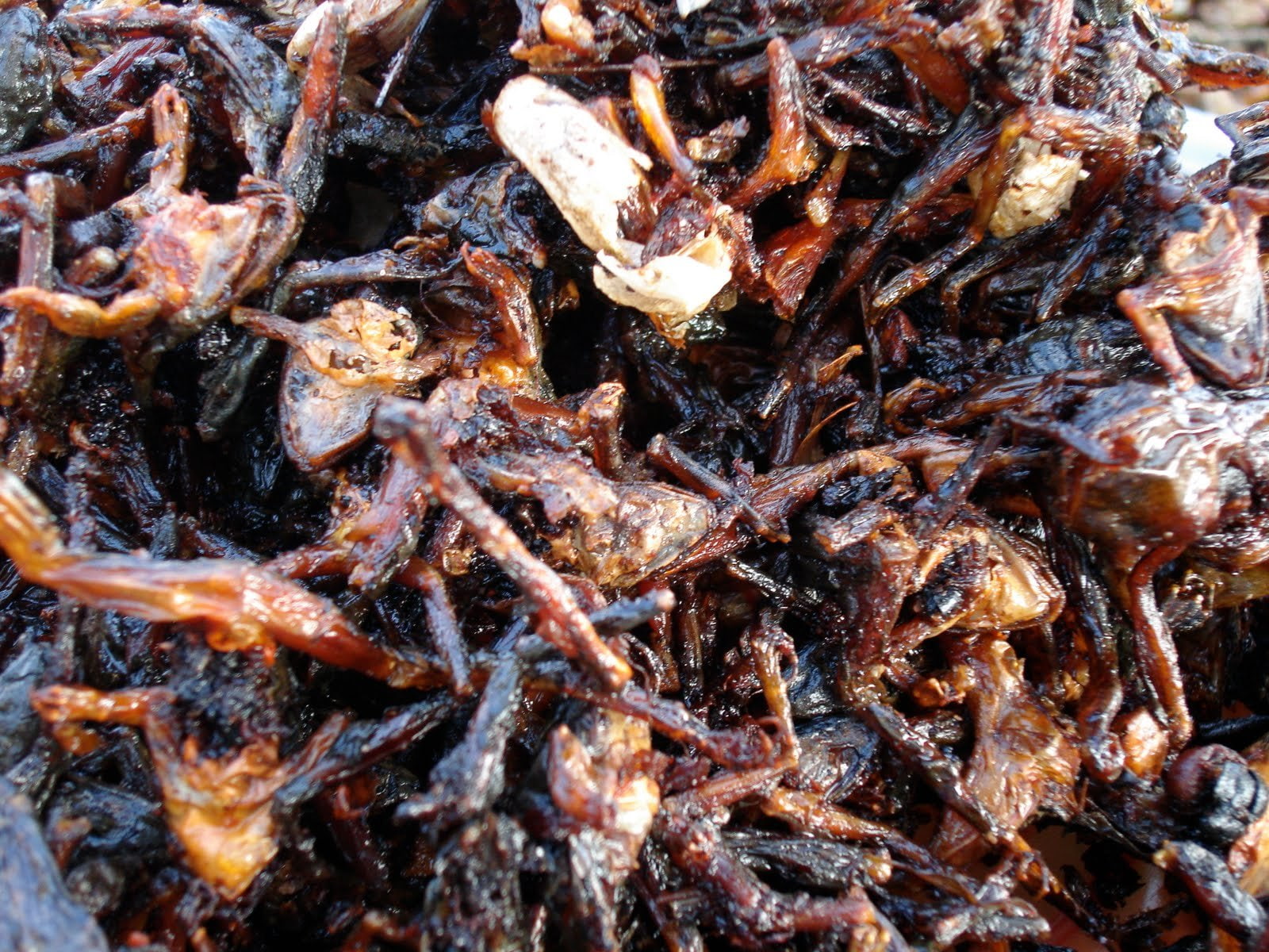 cambodian, cambodia, food, asian, 720P, HD Wallpaper