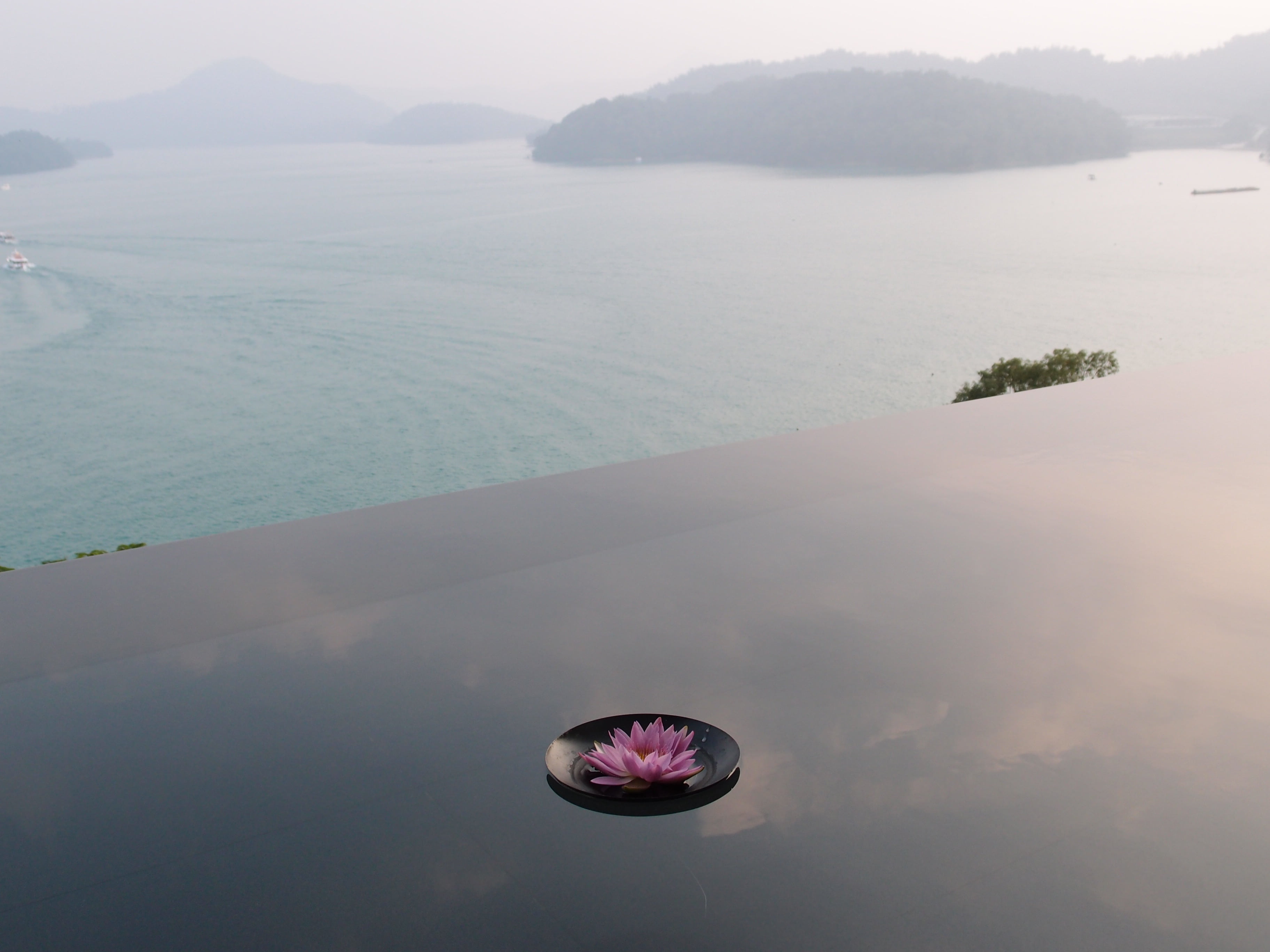 reflection pond, flower, 2K, day, tranquil scene, beauty in nature, reflection, beach, land, sky, still life, mountain, sun moon lake, high angle view, HD Wallpaper