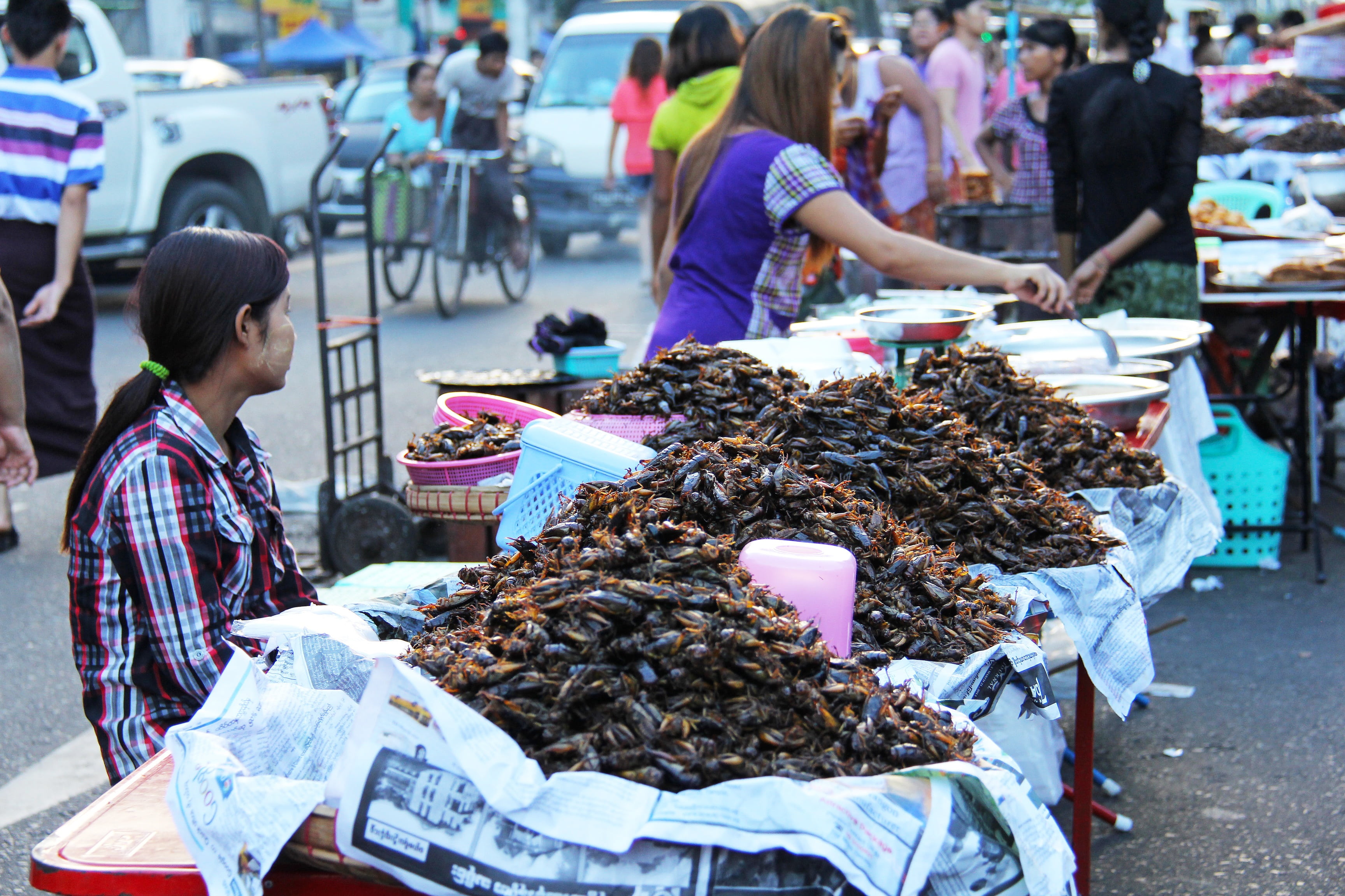 women, incidental people, people, cockroaches, choice, for sale, street market, retail display, retail, burma, selling, business, sale, crowded, market, HD Wallpaper