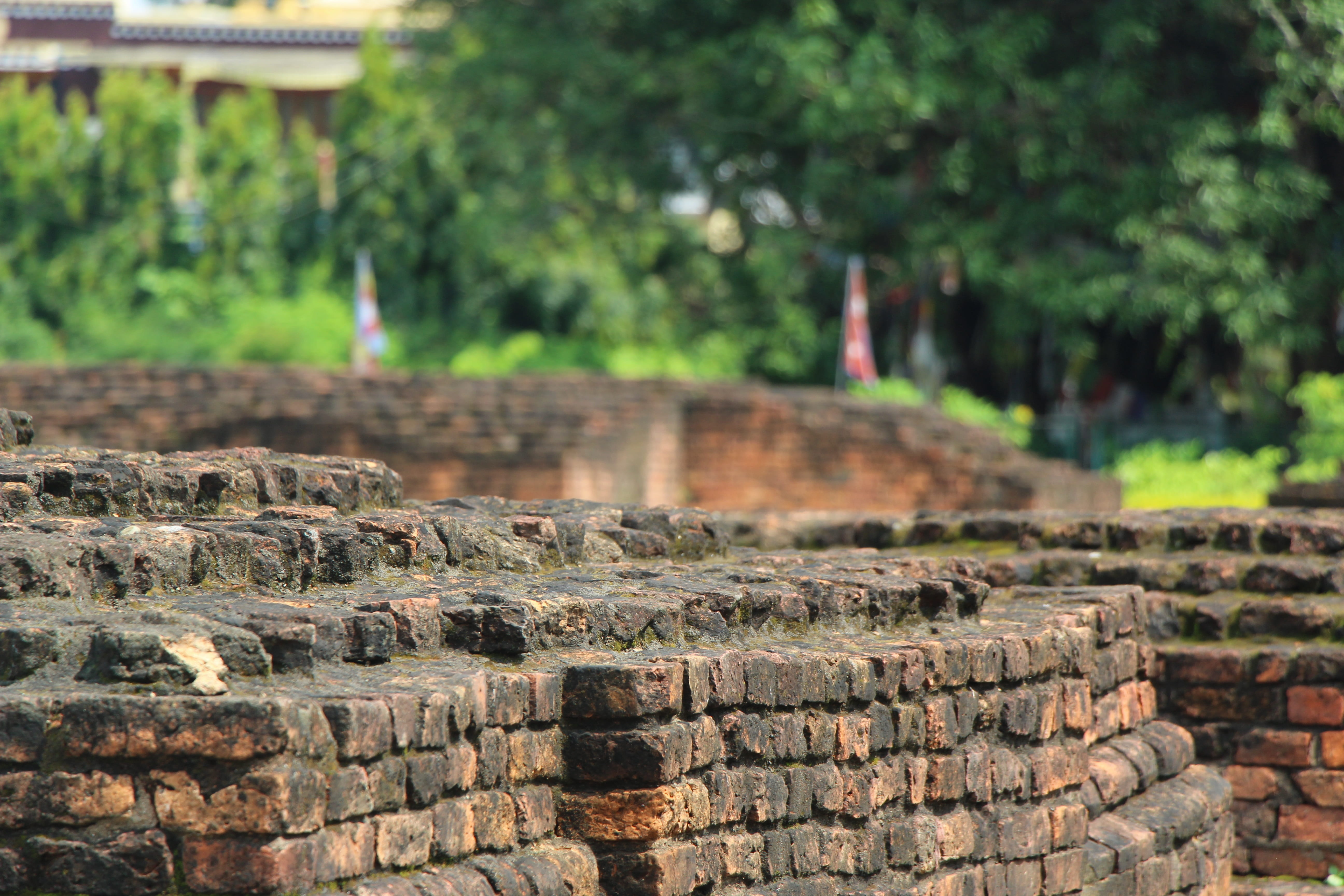 nepal, no people, building exterior, wall - building feature, built structure, brick, landmark, plant, buddha, day, nature, history, architecture, focus on foreground, HD Wallpaper