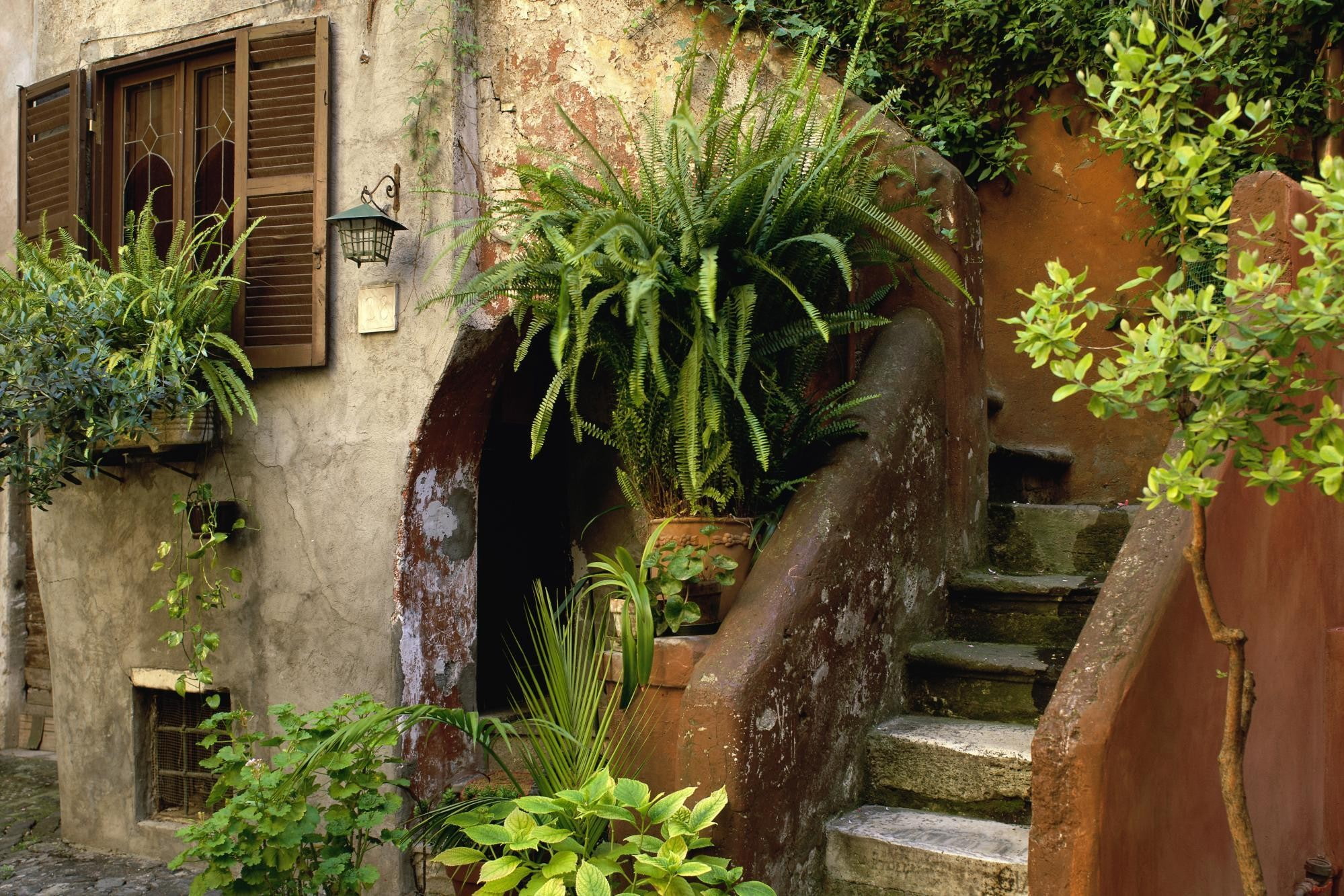 plants, stairs, 1080P, house, HD Wallpaper