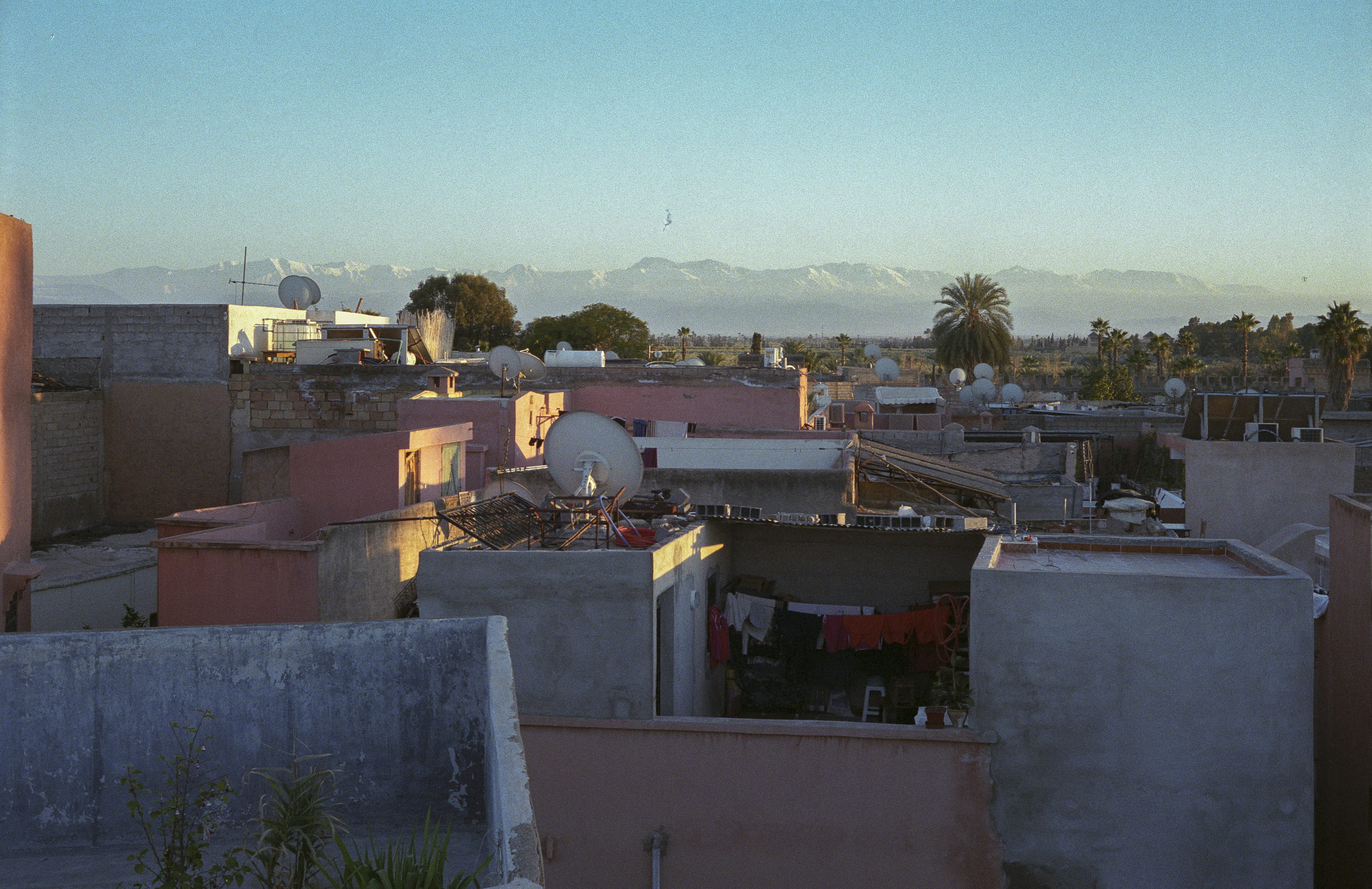 residential district, cityscape, outdoors, morocco, town, fujifilm, townscape, city, analog, color, superia x-tra, sunset, rooftops, electro 35, plant, HD Wallpaper