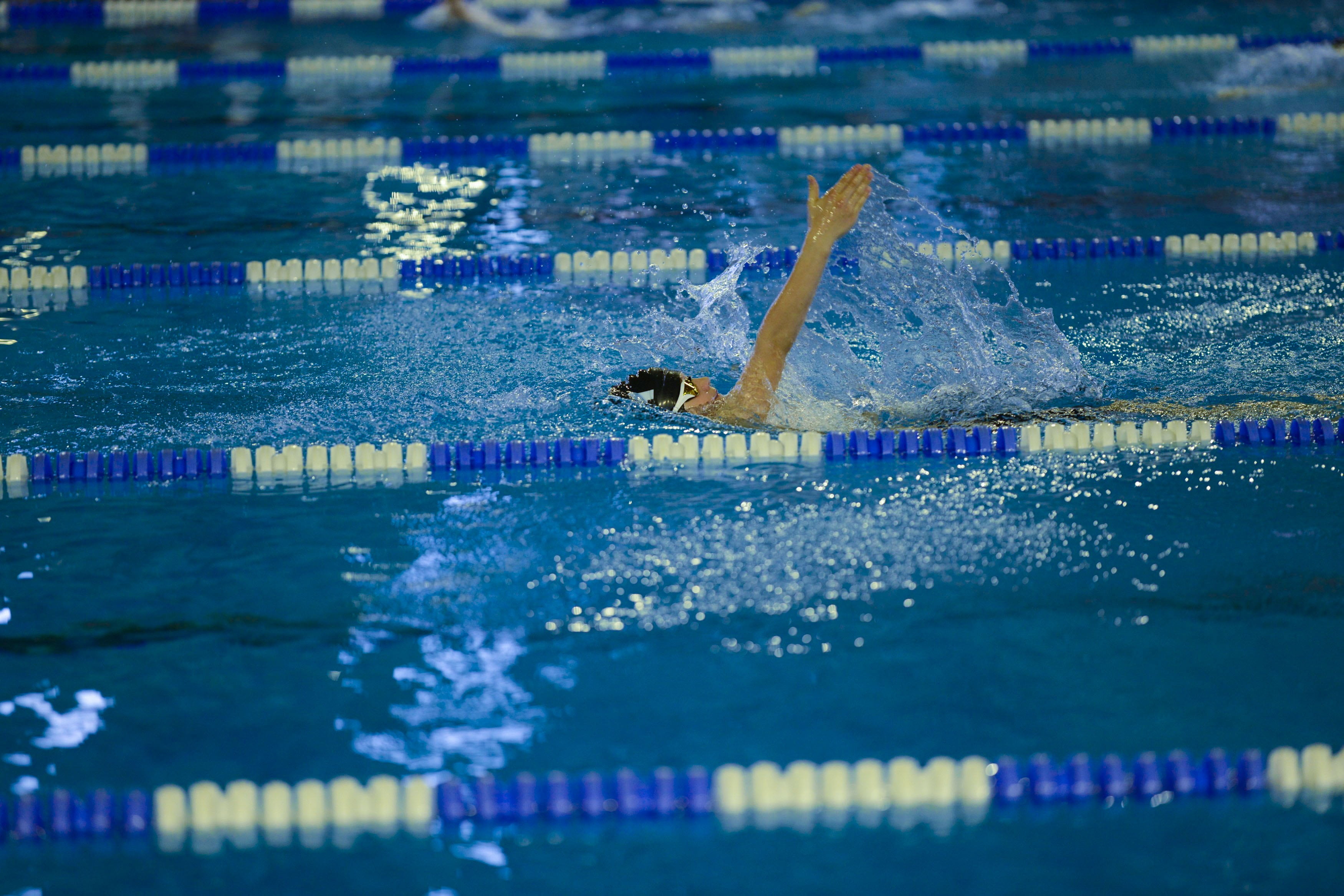 motion, speed, effort, athlete, sport, outdoors, swimming, competition, real people, human arm, 2K, 200 rücken, skill, water, determination, pool, swimming lane marker, HD Wallpaper