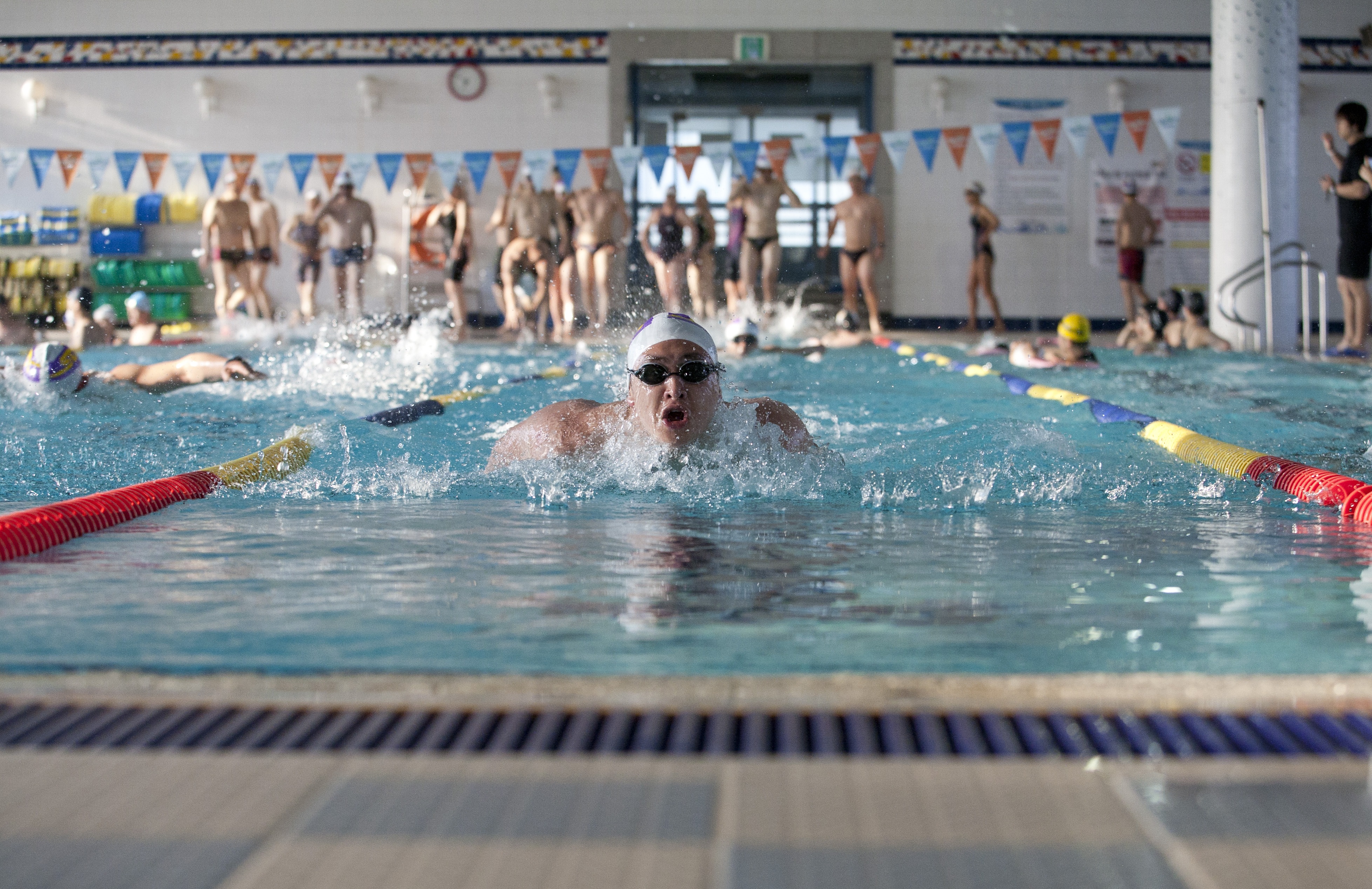 action, water, sports Race, swimming, athlete, healthy Lifestyle, outdoors, 4K, adult, swimming cap, day, exercise, swimming Pool, incidental people, competitive Sport, HD Wallpaper