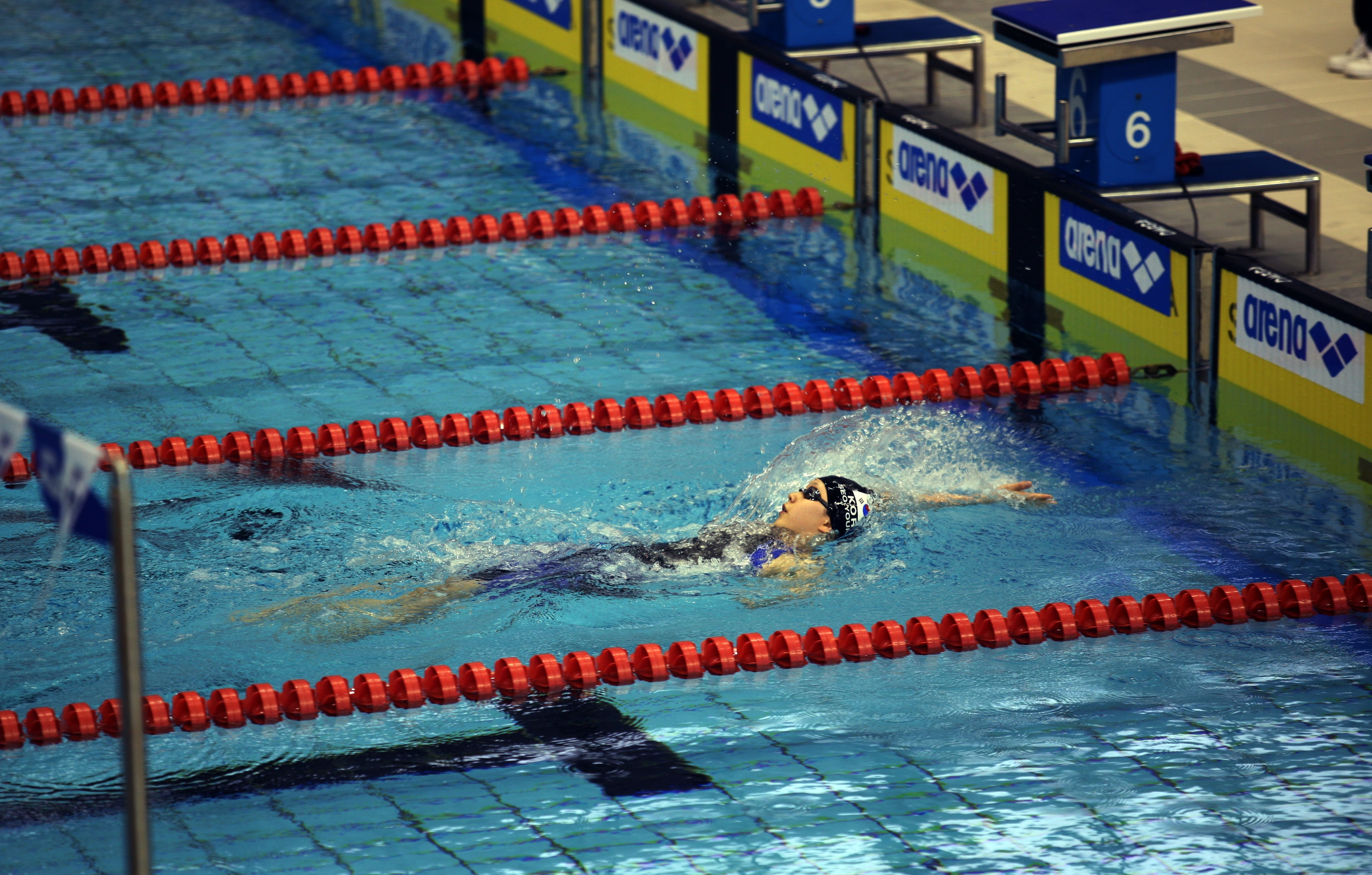 sport, motion, swimming pool, determination, competition, swimming lane marker, 4K, high angle view, people, swimming, exercise, outdoors, exercising, HD Wallpaper