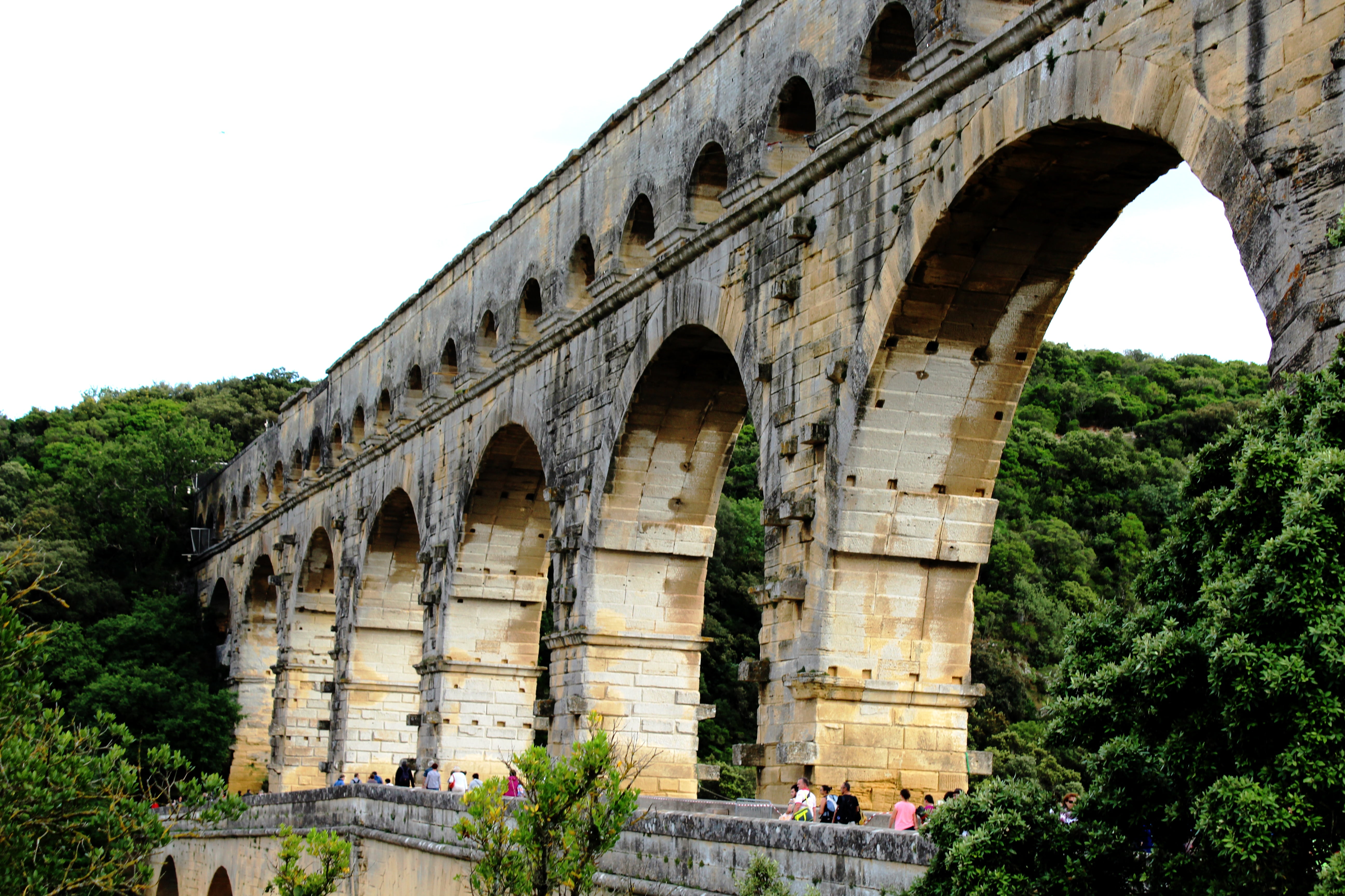 plant, ruined, arch, nature, pont du gard, ancient history, ancient civilization, building exterior, low angle view, tourism, 5K, architecture, ancient, HD Wallpaper