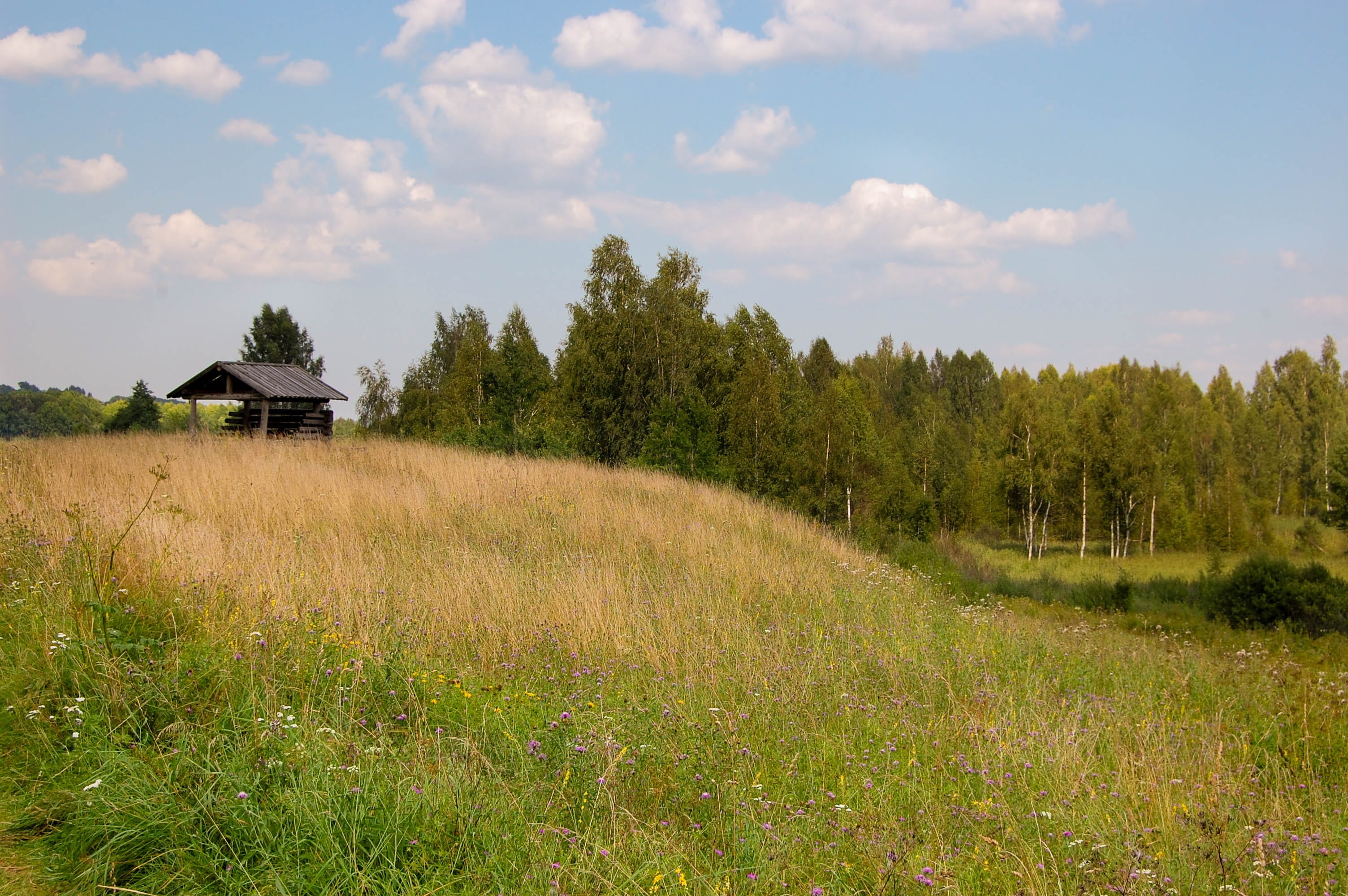 tree, sky, household, building, field, tranquility, Ancient, merchant, construction, meadow, place, the property, 2K, blue, rustic, Boro, old, bungalow, HD Wallpaper