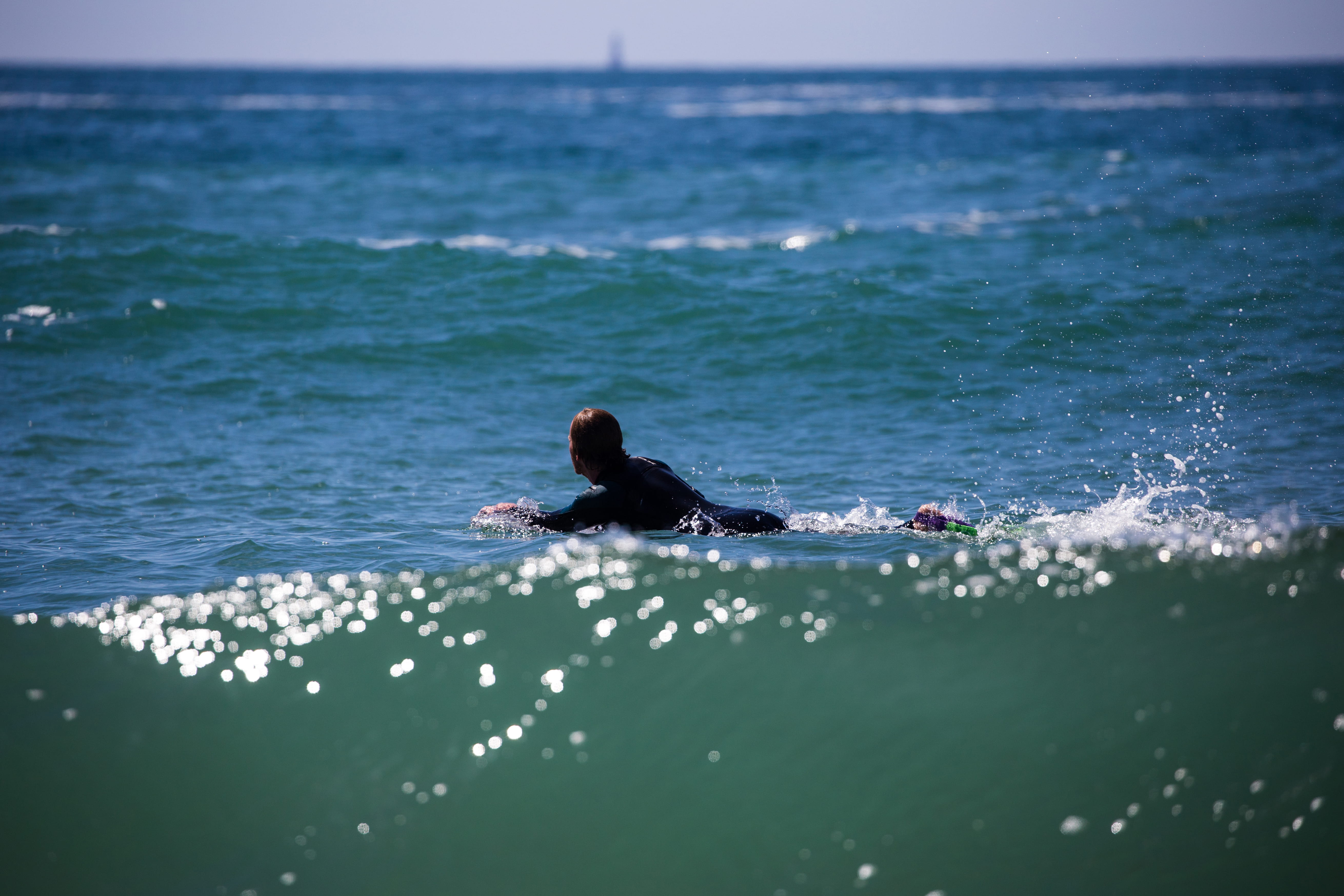 france, adventure, vertebrate, no people, surf, ocean, human, wave, animal, horizon over water, port bara, day, motion, surfboard, sports, wildlife, sea, HD Wallpaper