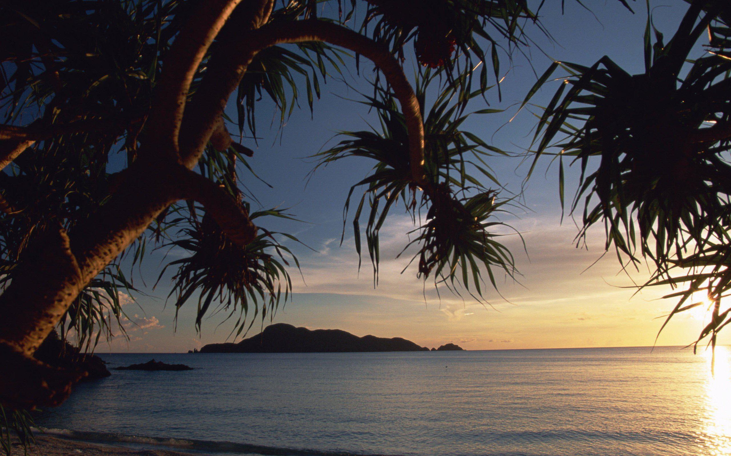 high, sea, palm, sunset, nature, pictures, 2K, islands, resolution, beaches, clouds, coast, trees, landscapes, HD Wallpaper