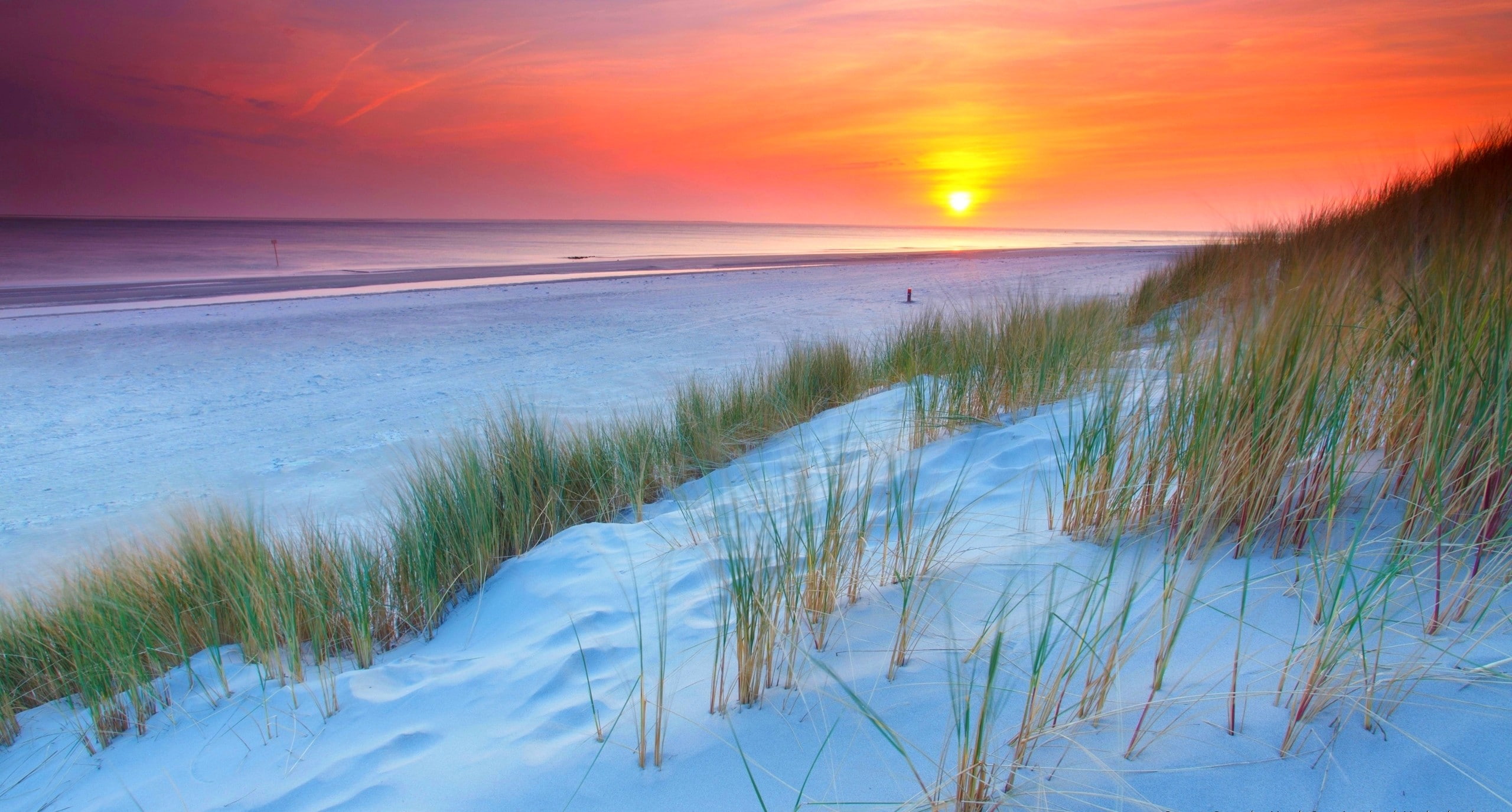 sea, landscape, sunset, dune, sand, 2K, beach, netherlands, nature, grass, HD Wallpaper