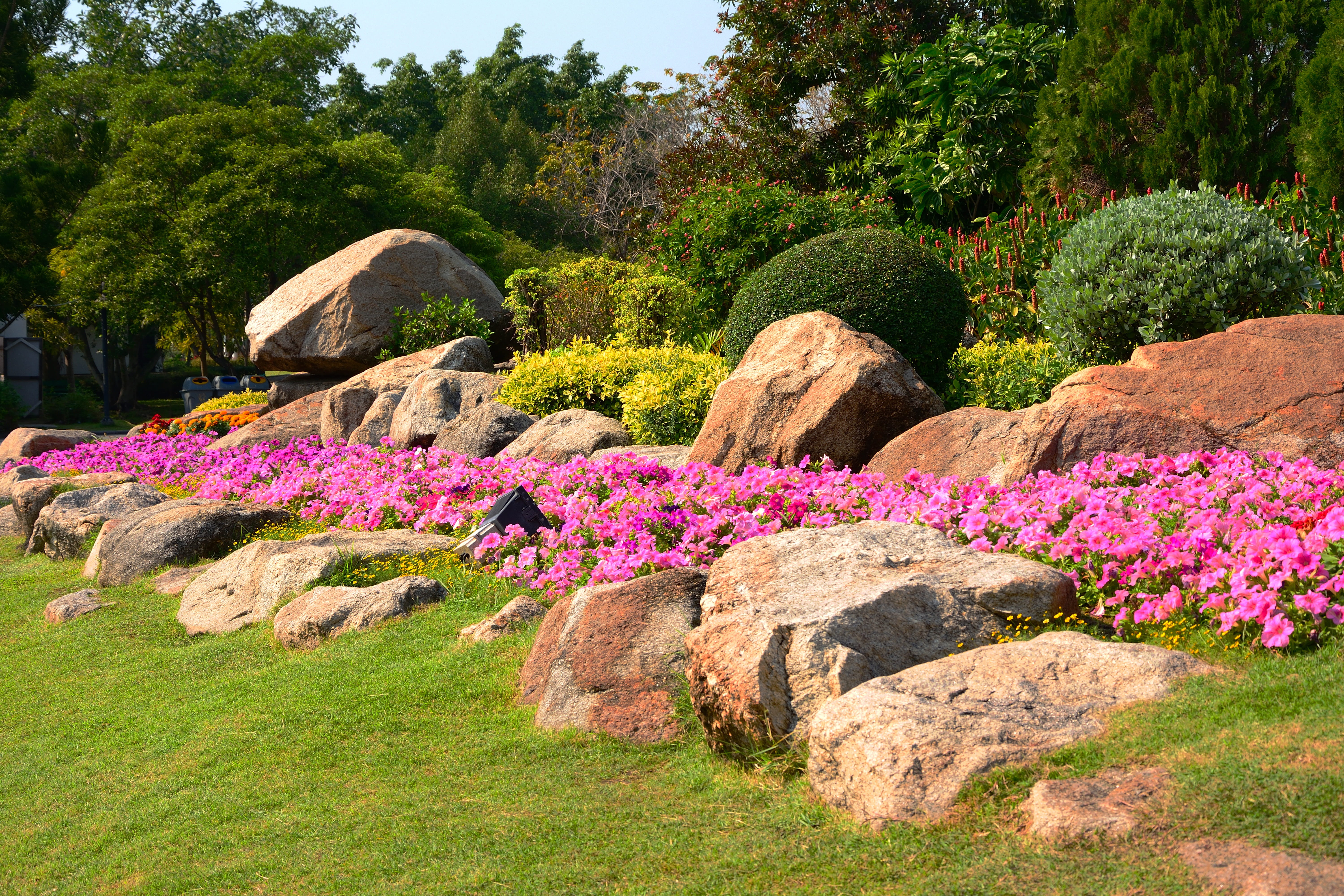 parks, beautiful flowers, botanical garden, tree, doi intanon, ornamental garden, leaf, blossom, tranquility, park, a yellow flower, ya japan, pink flower, HD Wallpaper