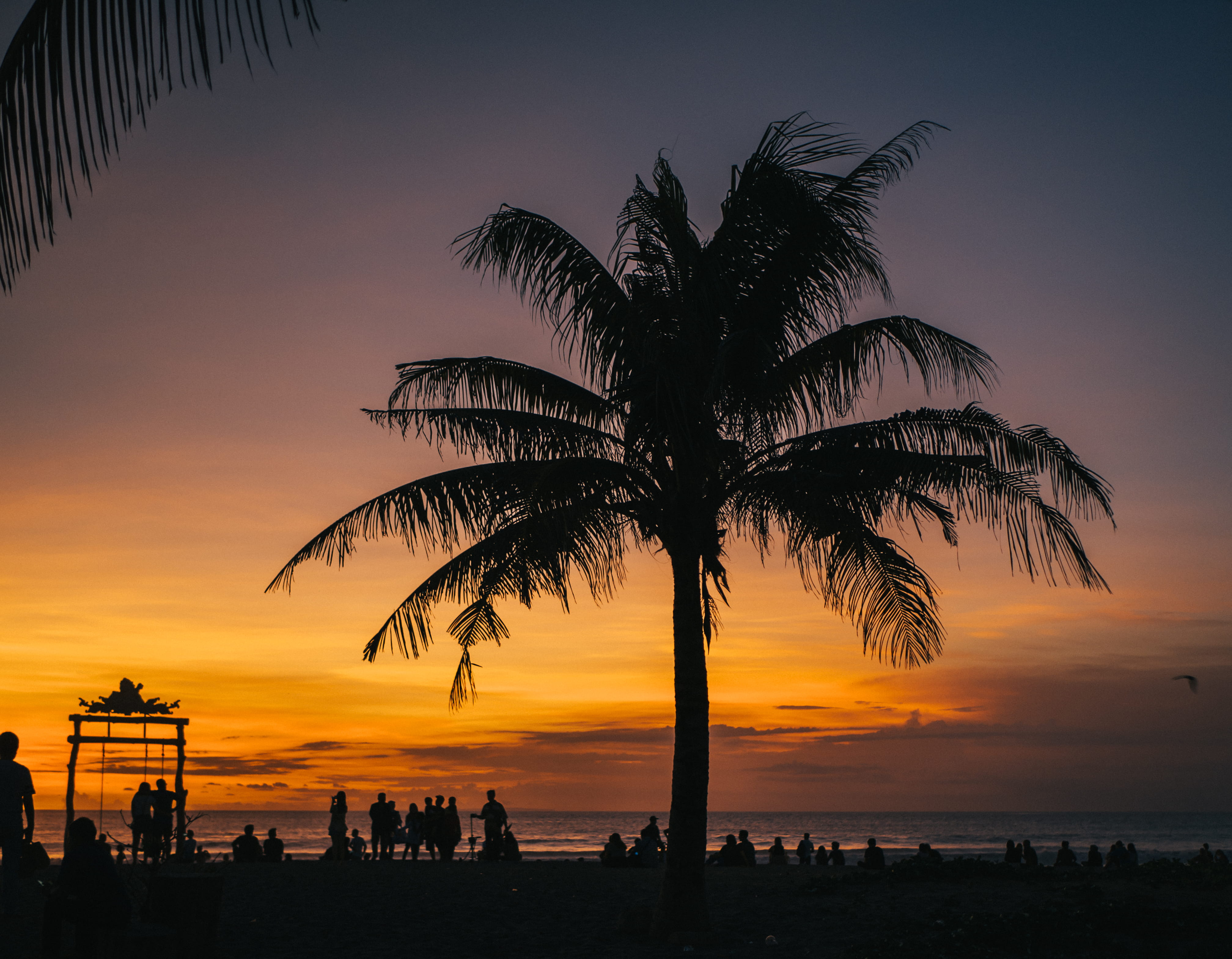sunset, palm leaf, palm tree, beauty in nature, sea, sunrise, sky, beach, horizon, person, bali, palm, tropical, silhouette, indonesia, outdoors, nature, HD Wallpaper