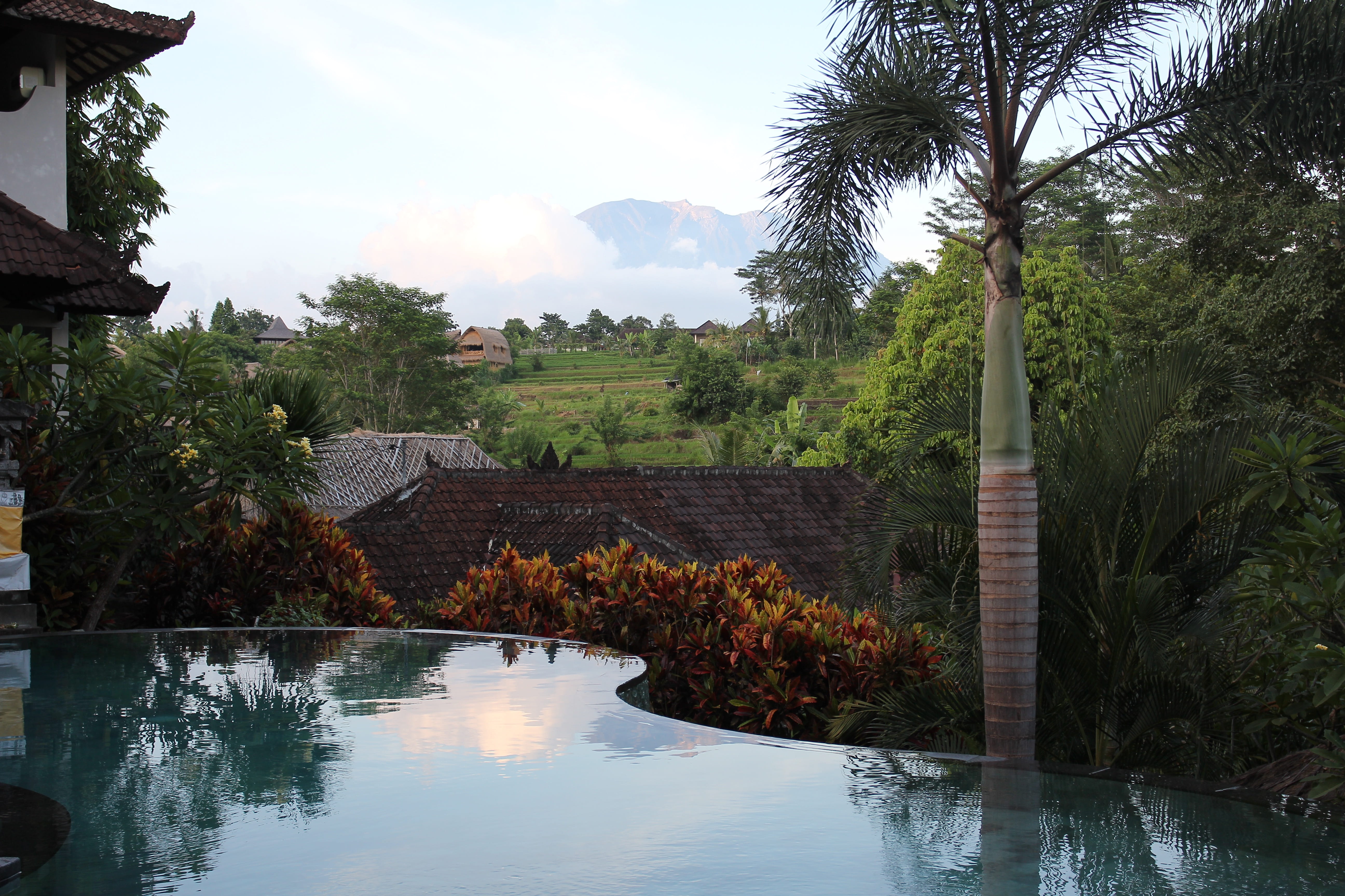 plant, growth, tranquility, built structure, happy, pool, relax, luxury, scenics - nature, calm, tranquil scene, tropical, water, reflection, day, architecture, HD Wallpaper