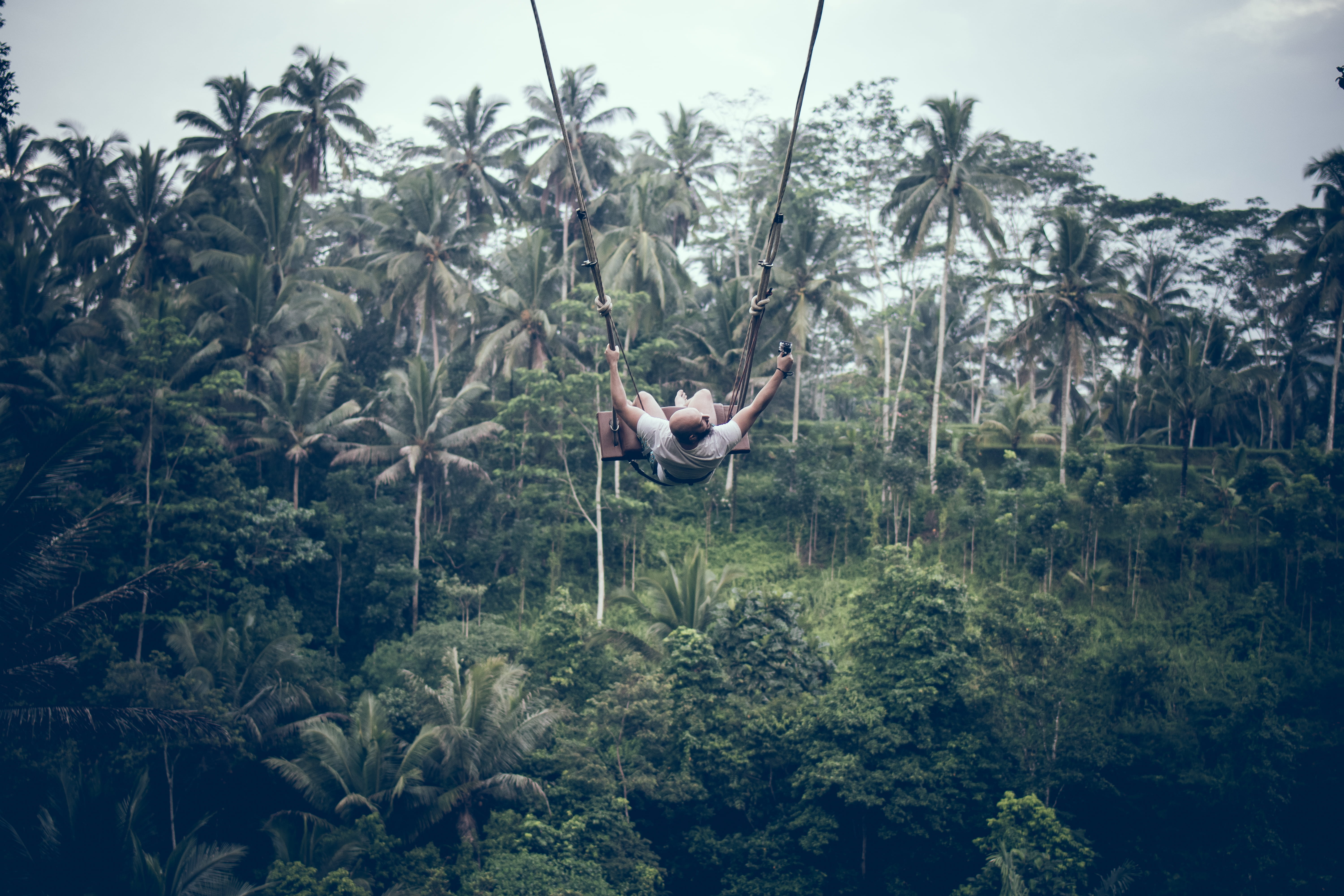 lush foliage, tree, plant, jungle, rainforest, swinging, tranquility, beauty in nature, bali, land, man, nature, adventure, growth, 5K, sky, tranquil scene, HD Wallpaper
