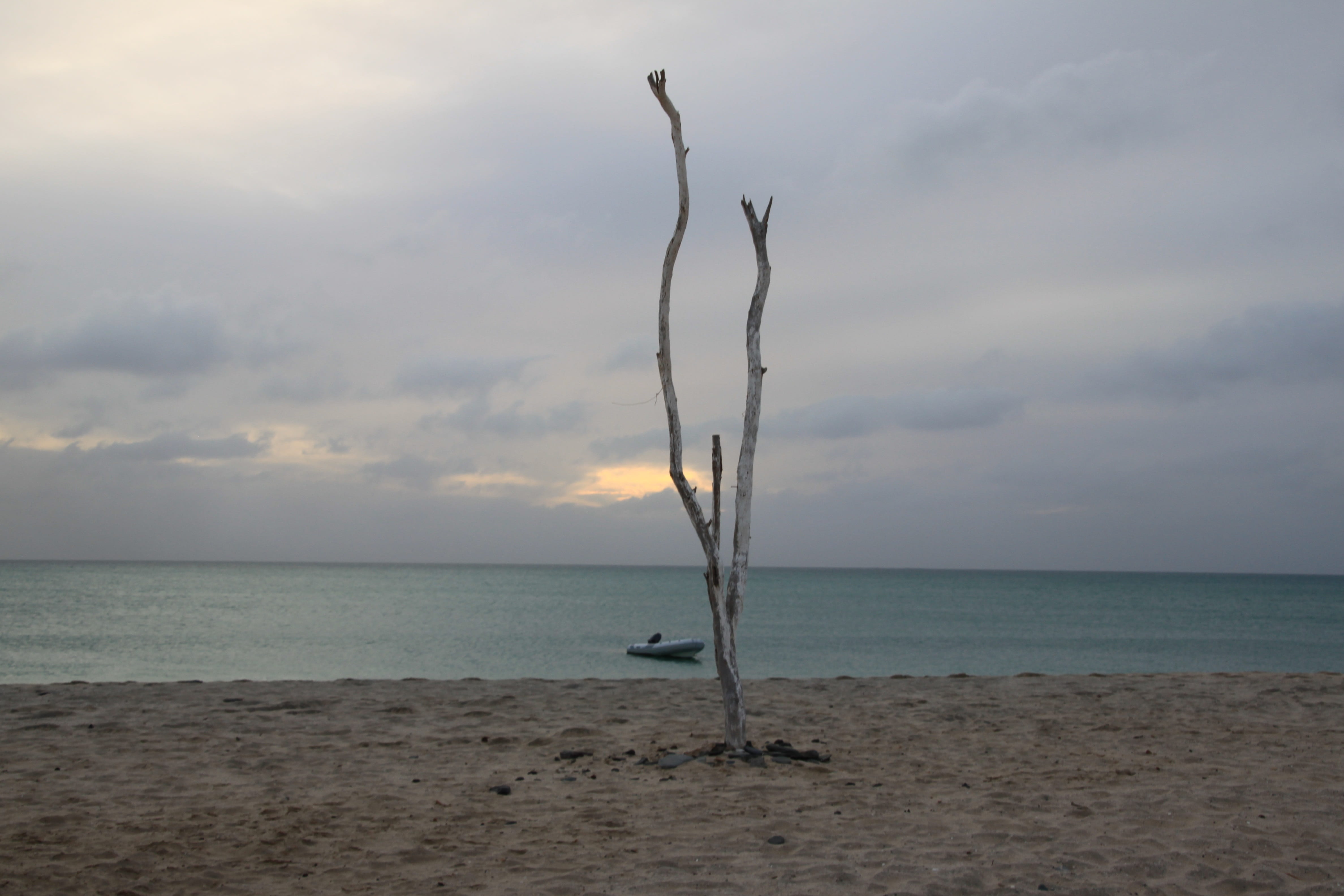 scenics - nature, cape verde island, water, land, tranquil scene, outdoors, cloud - sky, beach, horizon, tree, lonely, beauty in nature, no people, morabeze, HD Wallpaper