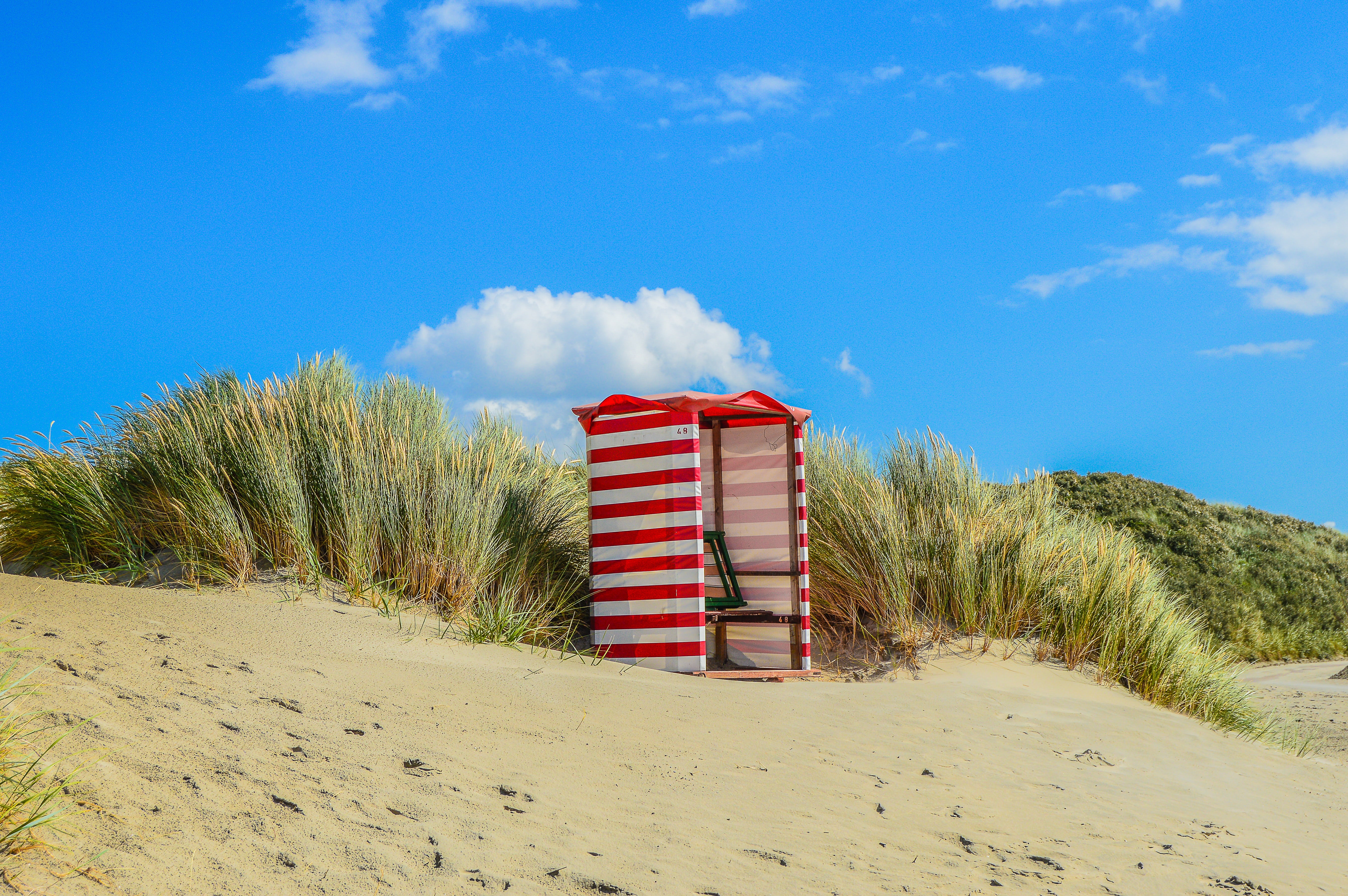plant, summer, beach tent, outdoors, built structure, blue, island, tranquility, white, no people, north sea, red, sea beach, nature, day, cloud - sky, HD Wallpaper