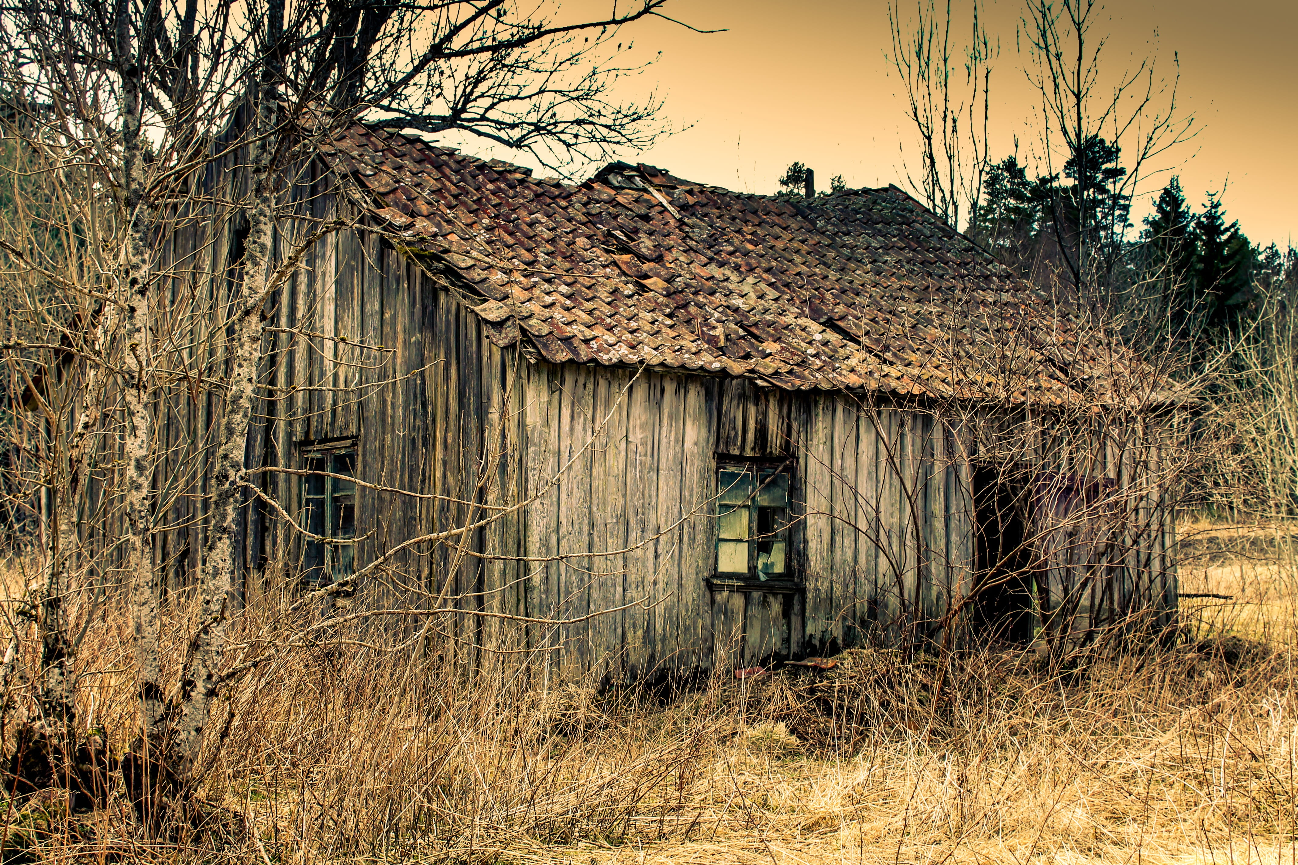 landscape, plant, forlatt, trevirke, run-Down, building Exterior, farm, land, agriculture, outdoors, Gammel, hut, cottage, sky, 4K, taket, building, halm, HD Wallpaper