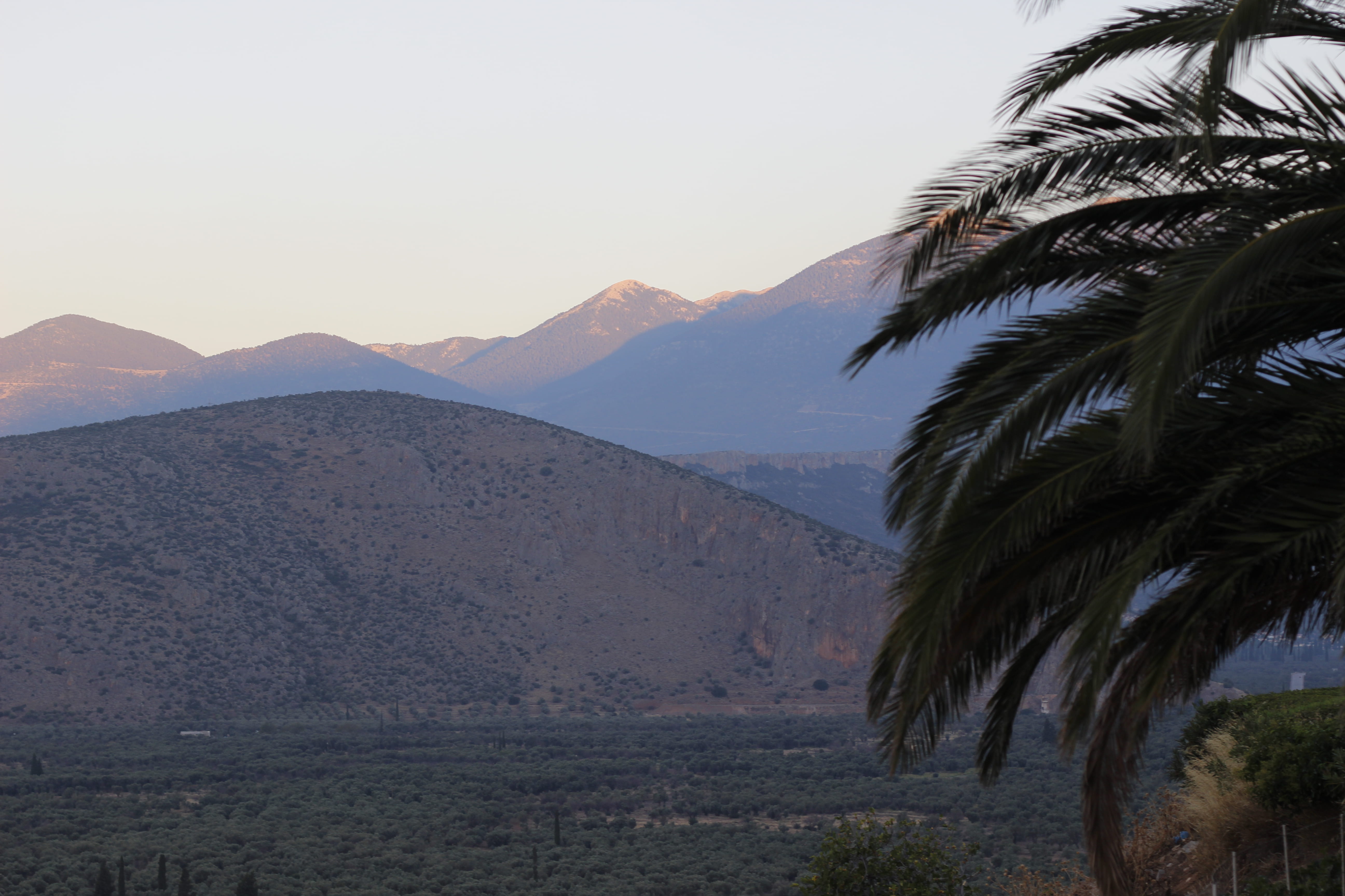 greece, nature, environment, mountain range, no people, landscape, scenics - nature, sky, tree, beauty in nature, plant, tranquility, delphi, tropical climate, HD Wallpaper