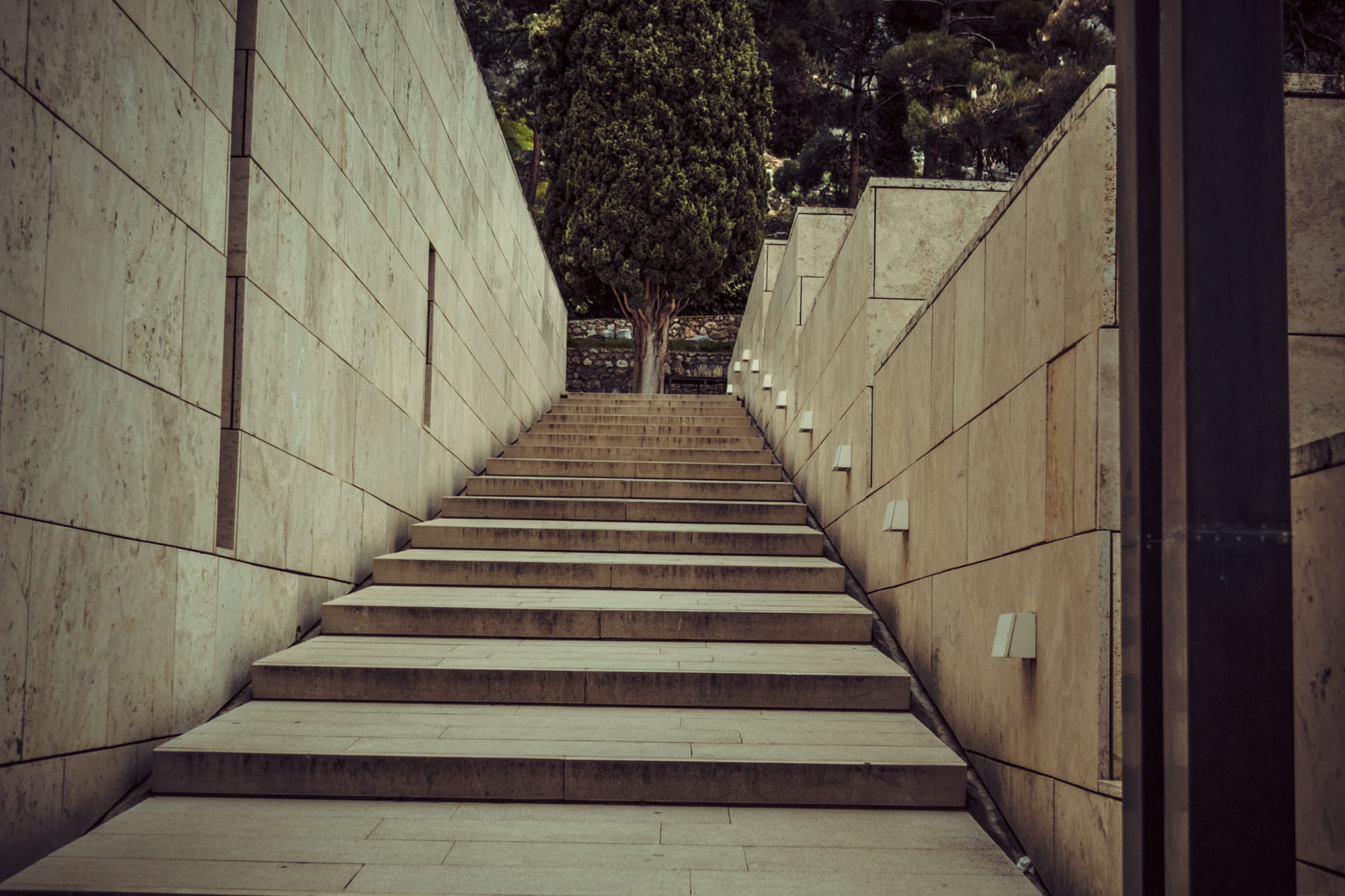 building exterior, steps, footpath, nature, 1080P, plant, staircase, architecture, direction, outdoors, the way forward, tree, delfi, day, greece, diminishing perspective, HD Wallpaper