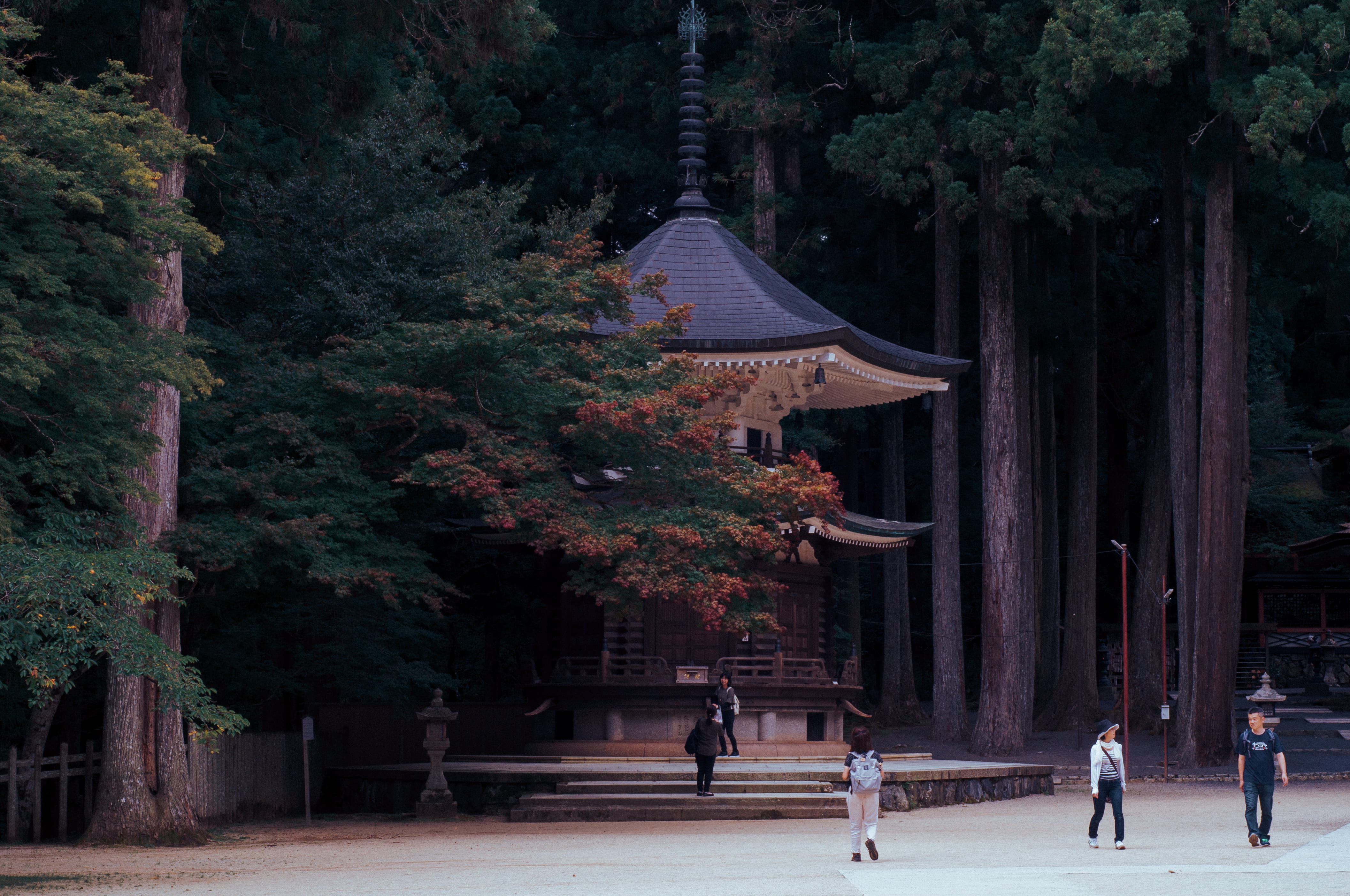 building exterior, men, house, near, visit, real people, belief, place of worship, tree, spirituality, wakayama, outdoors, lifestyles, walking, city, shrine, HD Wallpaper