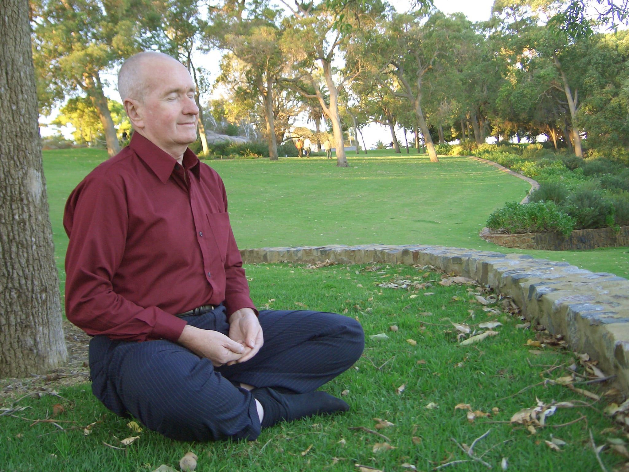 dress, shirt, tree, meditate, temple, buddhism, relaxation, mature men, full length, age, men, green color, old, phra dhammakaya, dhammakaya pagoda, elderly, HD Wallpaper