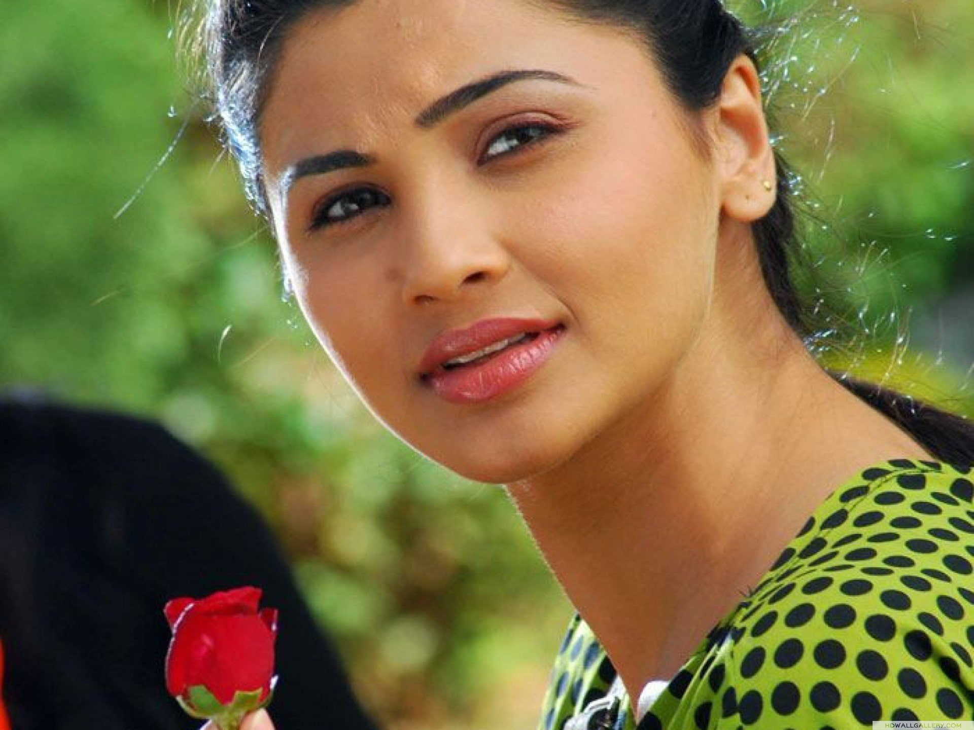 bollywood, 1080P, actress, daisy, shah, model, babe, HD Wallpaper