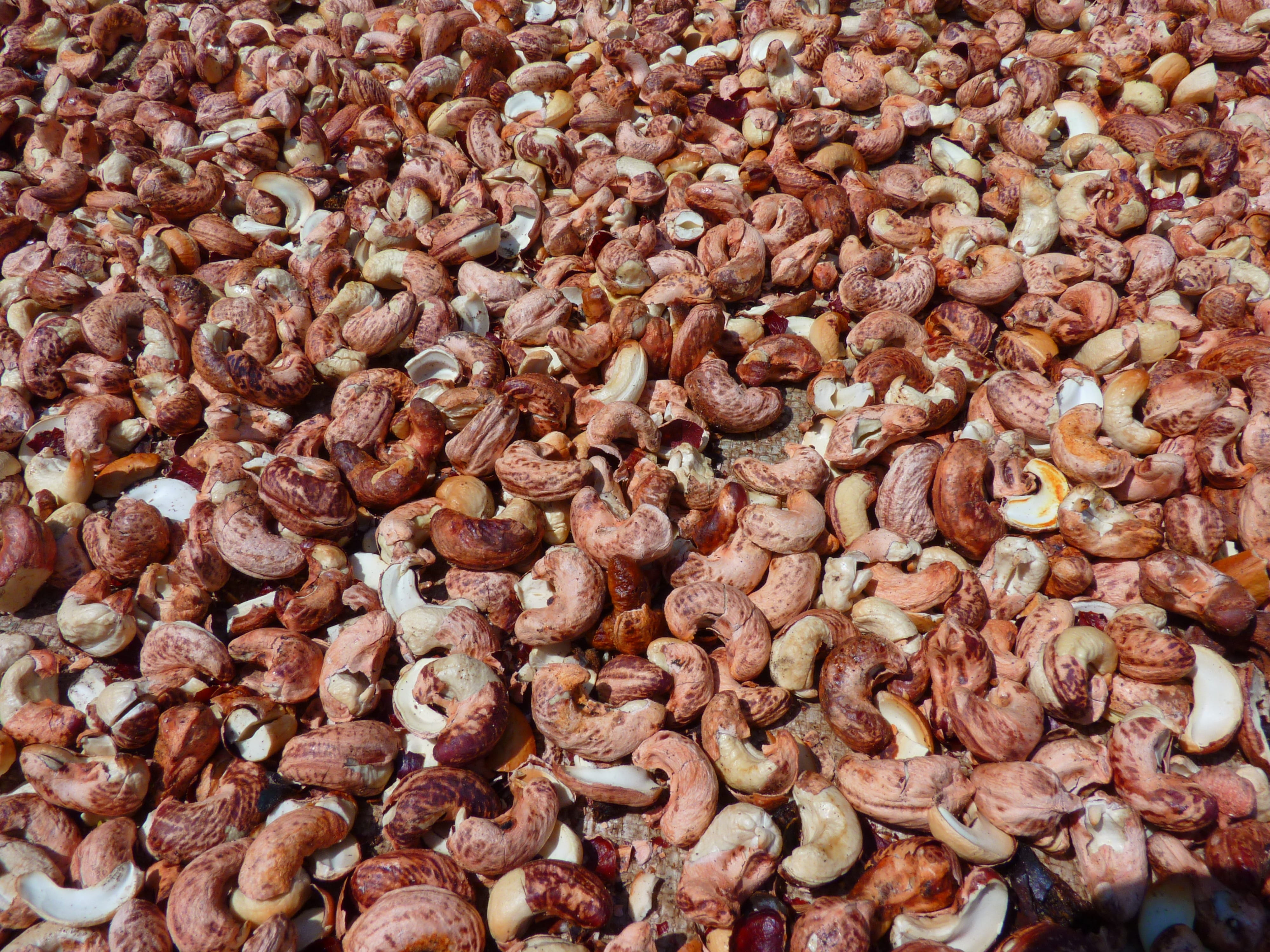 nut, no people, high angle view, freshness, wellbeing, large group of objects, still life, nut - food, food and drink, Plant, snack, close-up, backgrounds, HD Wallpaper