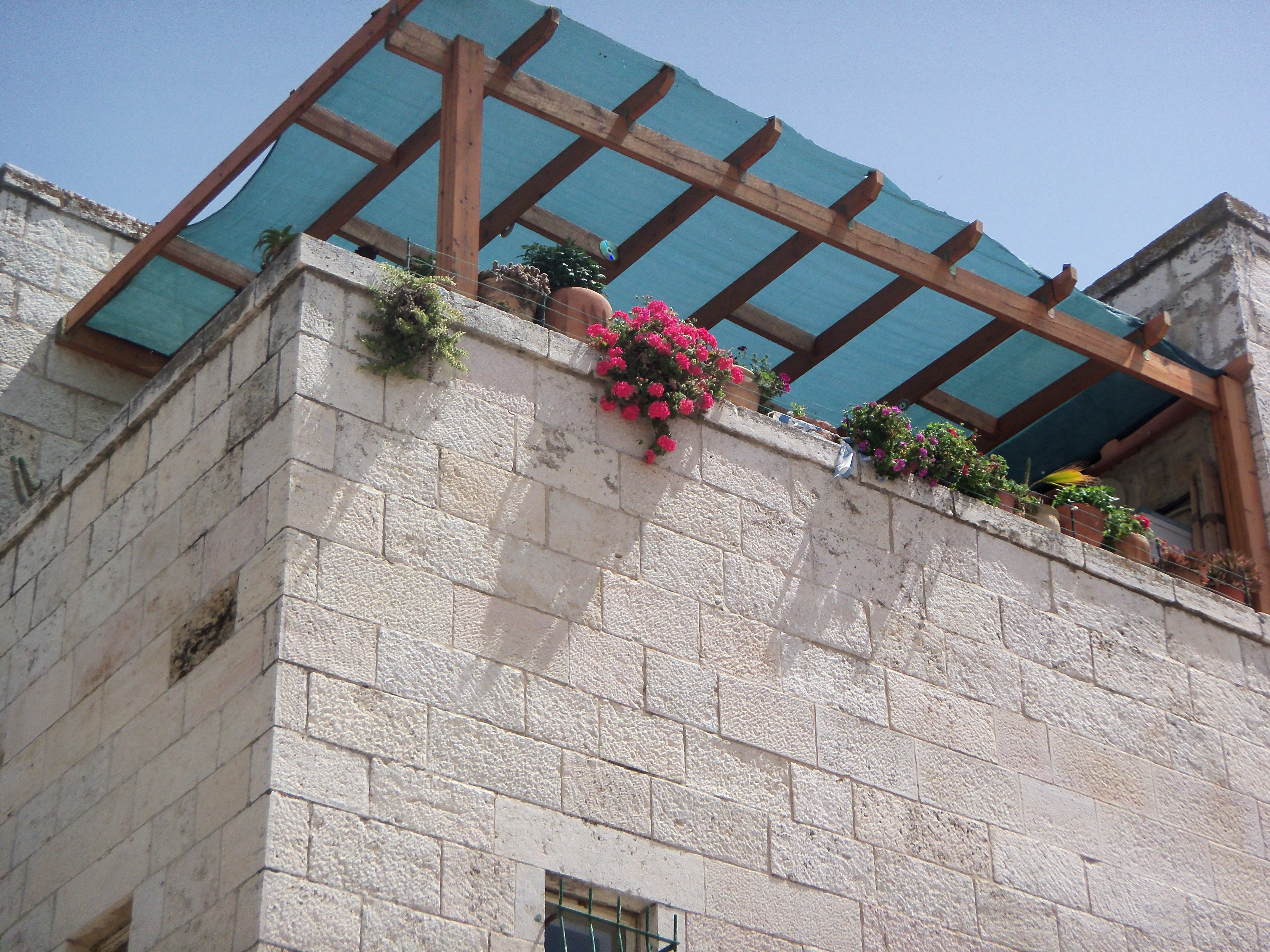 garden, patio, 4K, built structure, building, israel, low angle view, window, no people, lifestyle, stone wall, old city, growth, flowering plant, house, HD Wallpaper