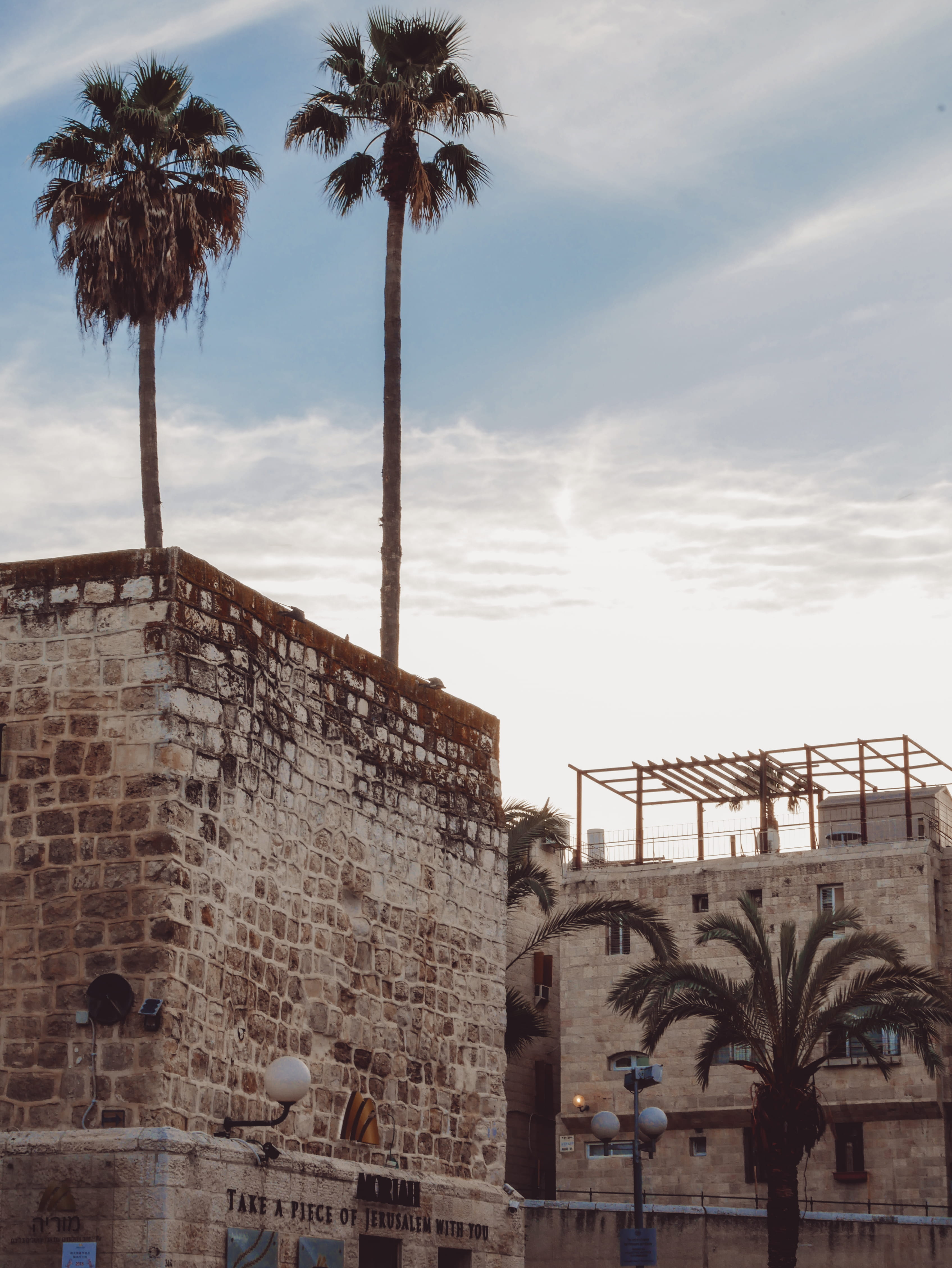 nature, tall - high, architecture, plant, day, sky, building exterior, low angle view, palm tree, no people, building, built structure, old city, travel destinations, Phone HD Wallpaper