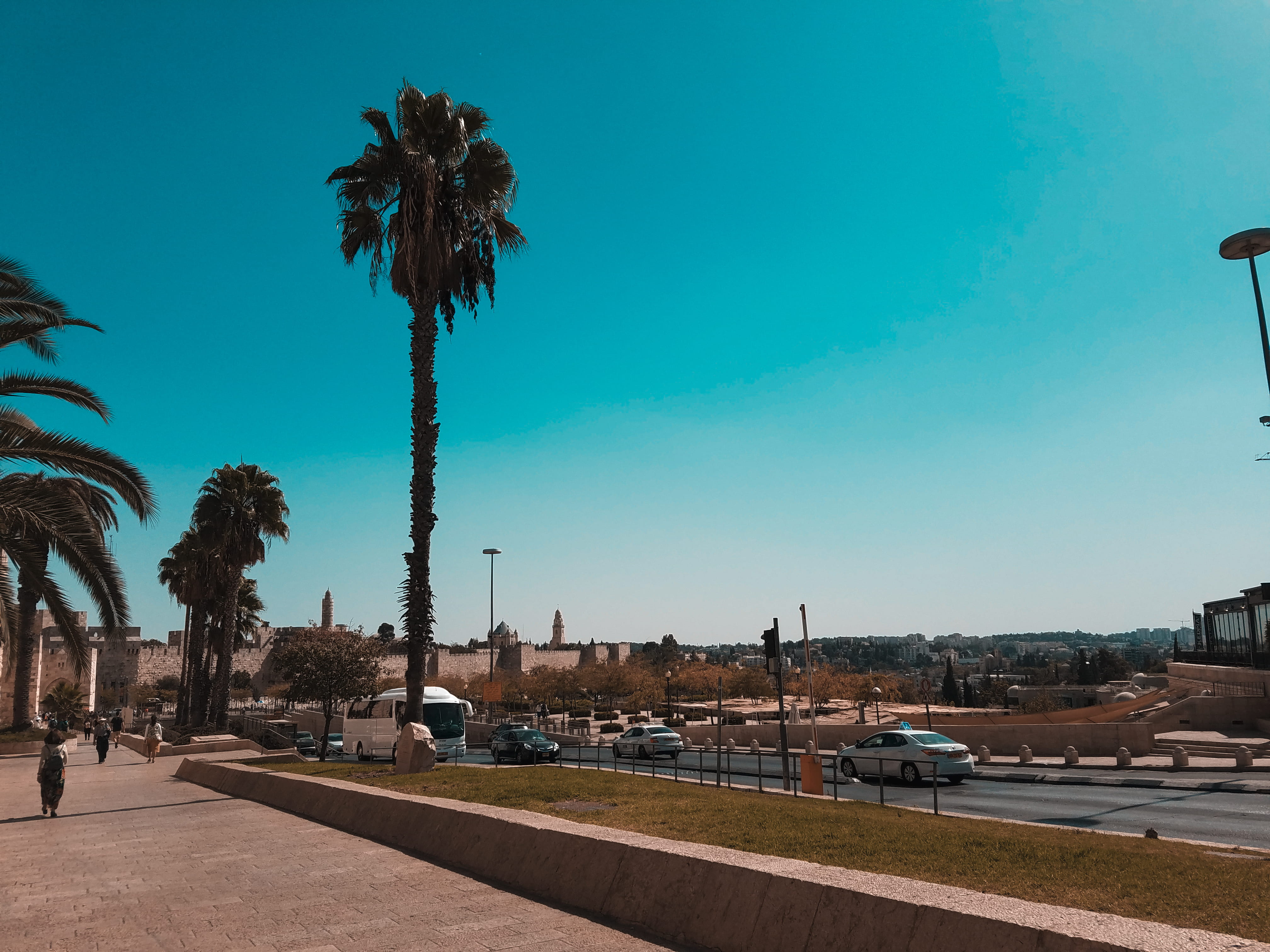 day, motor vehicle, jerusalem, transportation, plant, tree, no people, nature, street, coconut palm tree, palm tree, built structure, clear sky, blue, city, HD Wallpaper
