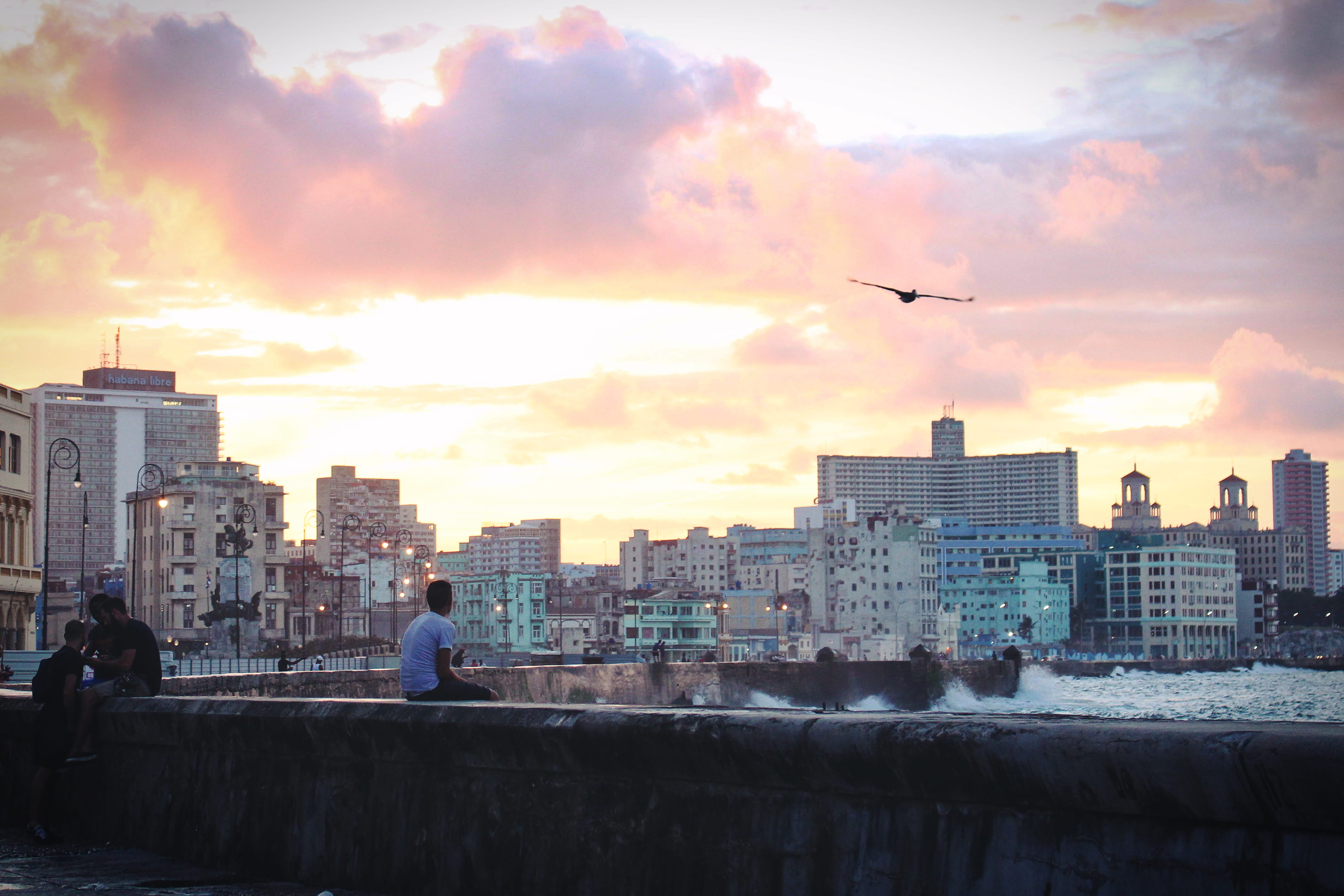 sunset, 4K, sky, city, bird, cityscape, office building exterior, lifestyles, malecon, water, nature, mar, city life, men, gold hour, outdoors, architecture, HD Wallpaper