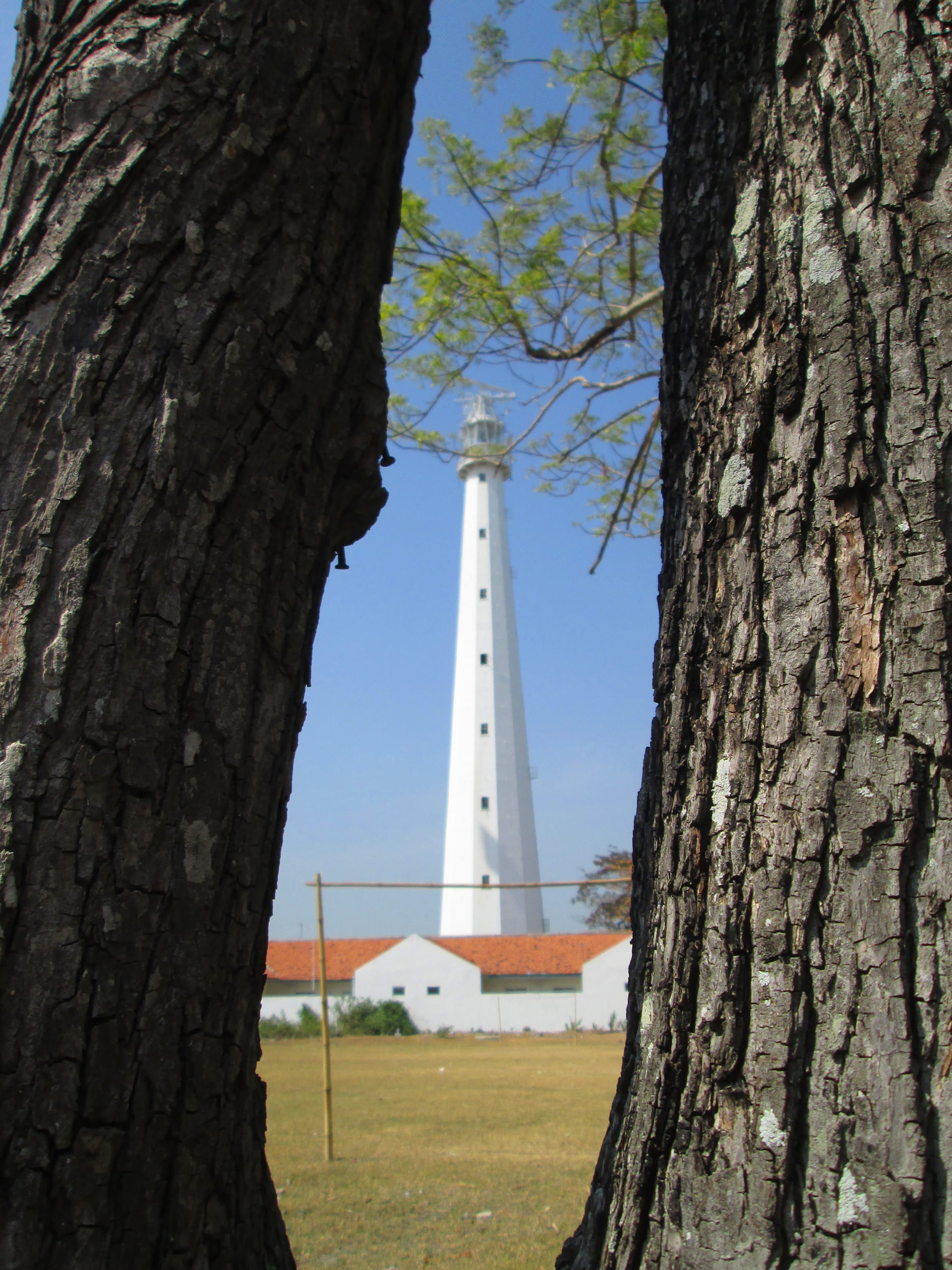 low angle view, tall - high, mercusuar, nature, land, building exterior, tree trunk, no people, meduro, built structure, architecture, tree, 2K, lighthouse, Phone HD Wallpaper