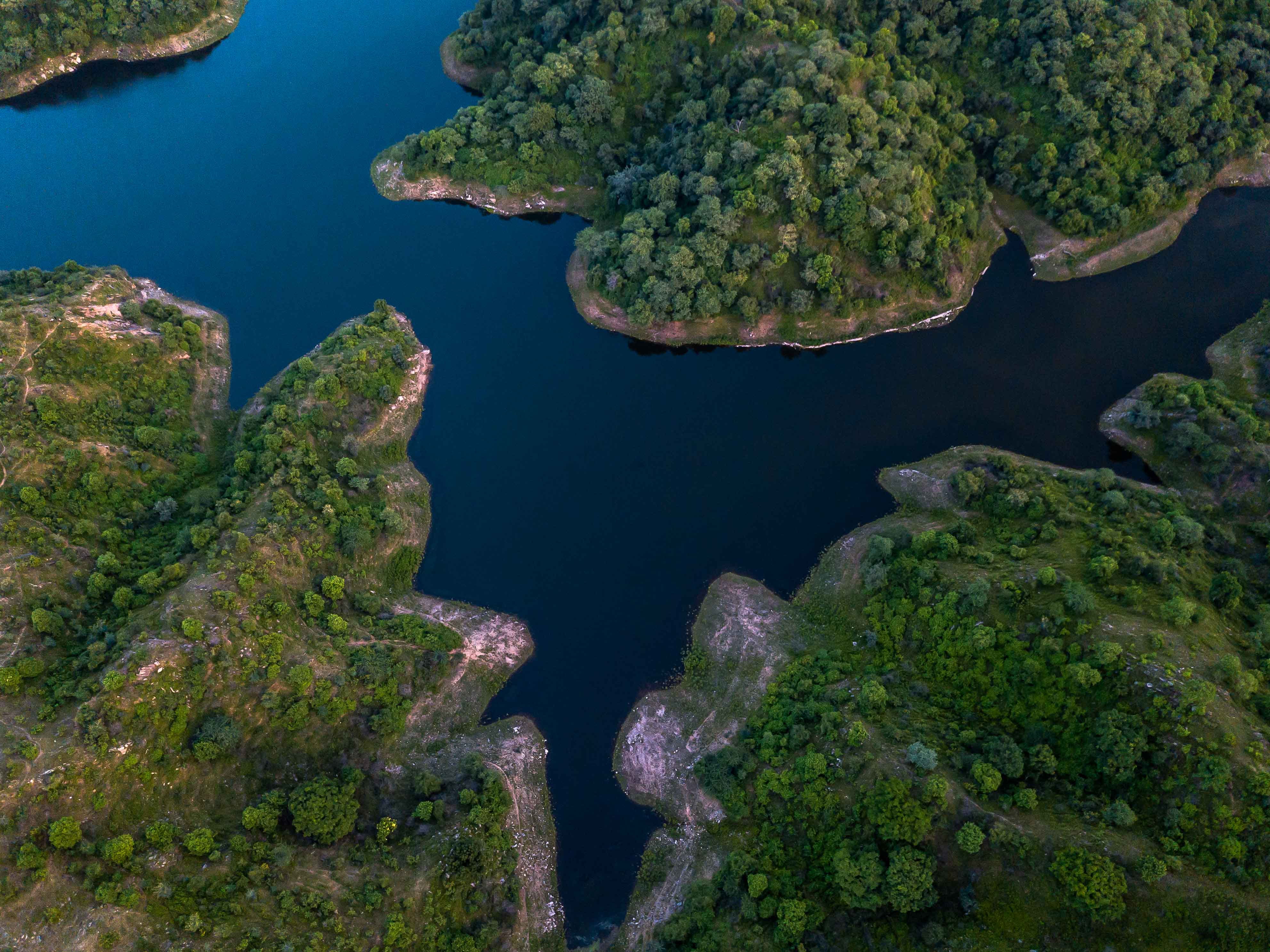 plant, island, animal, outdoors, land, water, nature, photography, sea life, growth, sadri, ocean, flora, peninsula, sea, india, aerial, green color, ranakpur road, HD Wallpaper