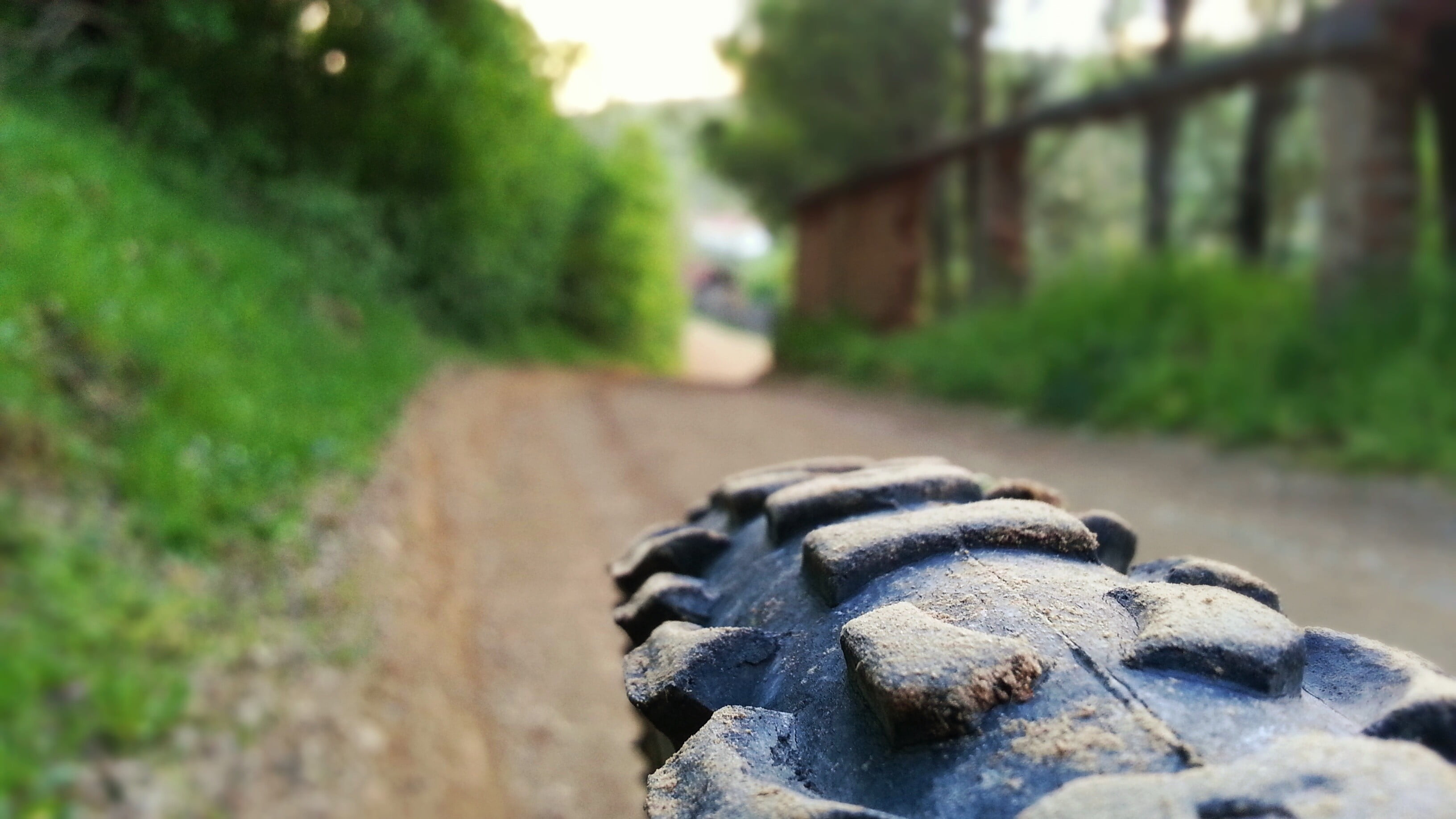 rock - object, outdoors, rock, stone, human representation, no people, nature, tree, creativity, tire, selective focus, 2K, land, mountain bikes, art and craft, HD Wallpaper