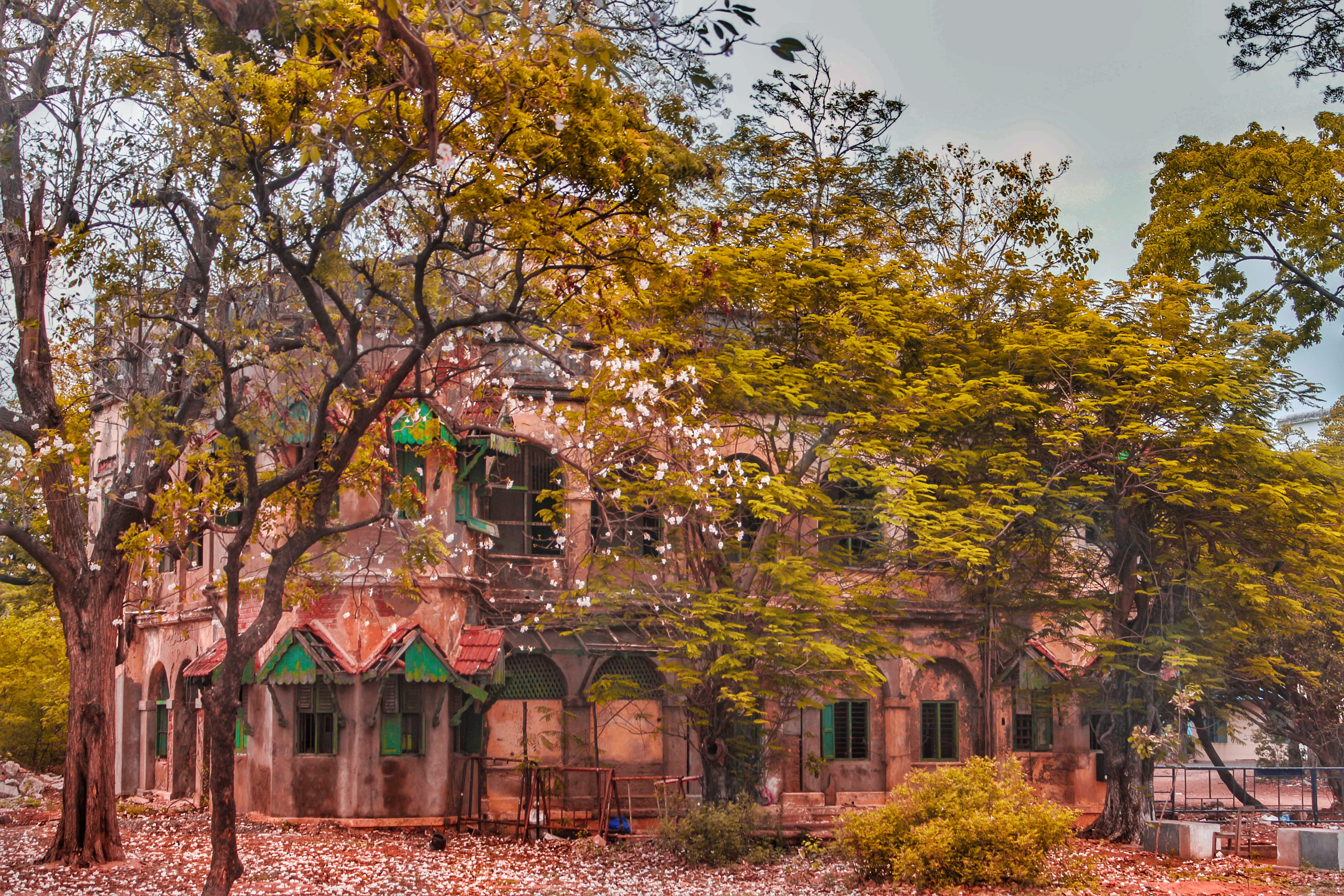 beauty in nature, architecture, no people, building, plant, chennai, dreamy, abandoned, change, building exterior, house, built structure, autumn collection, HD Wallpaper
