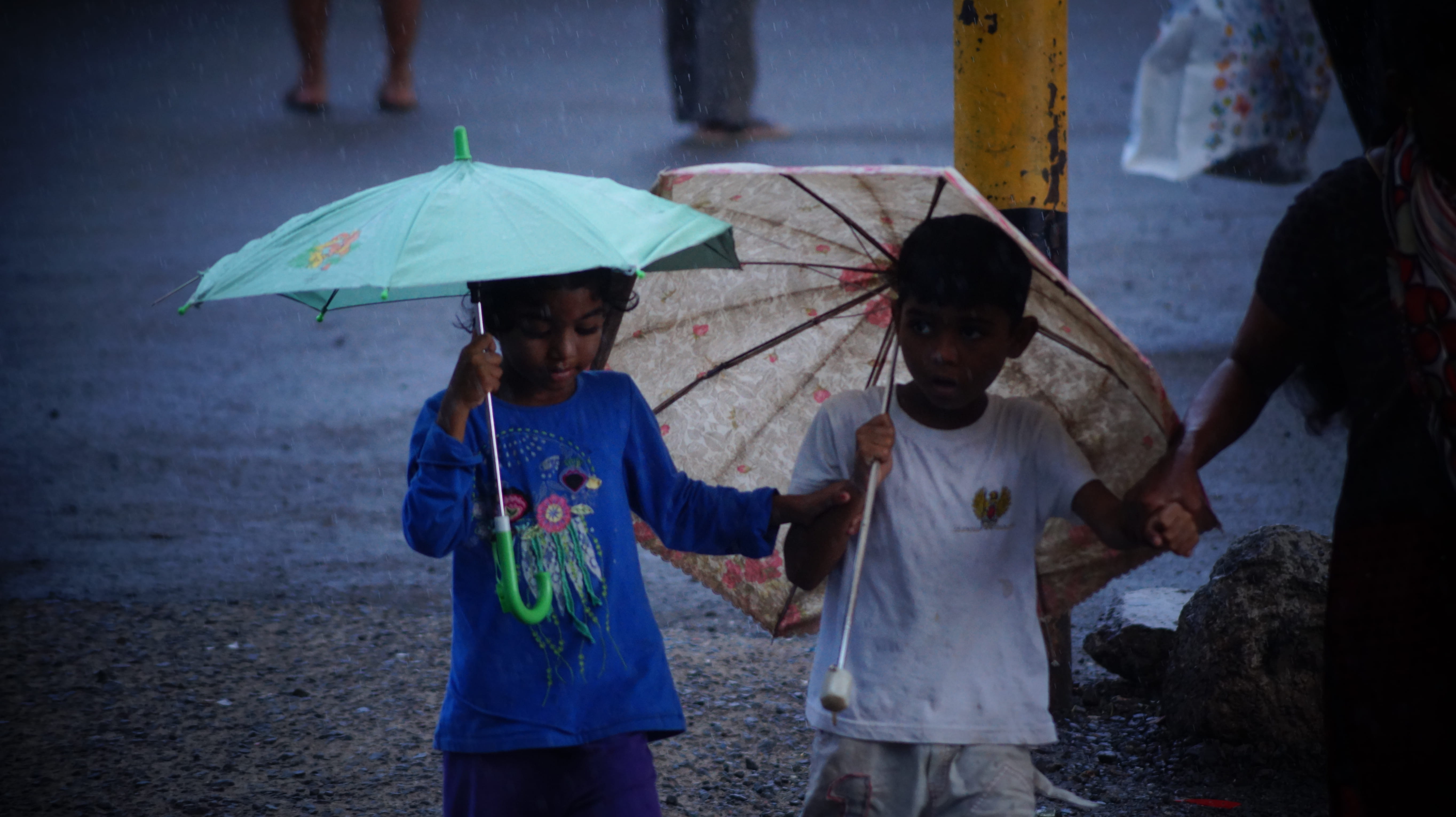 people, real people, clothing, standing, chennai, raindrop, city, security, protection, wet, childhood, women, group of people, innocence, three quarter length, HD Wallpaper