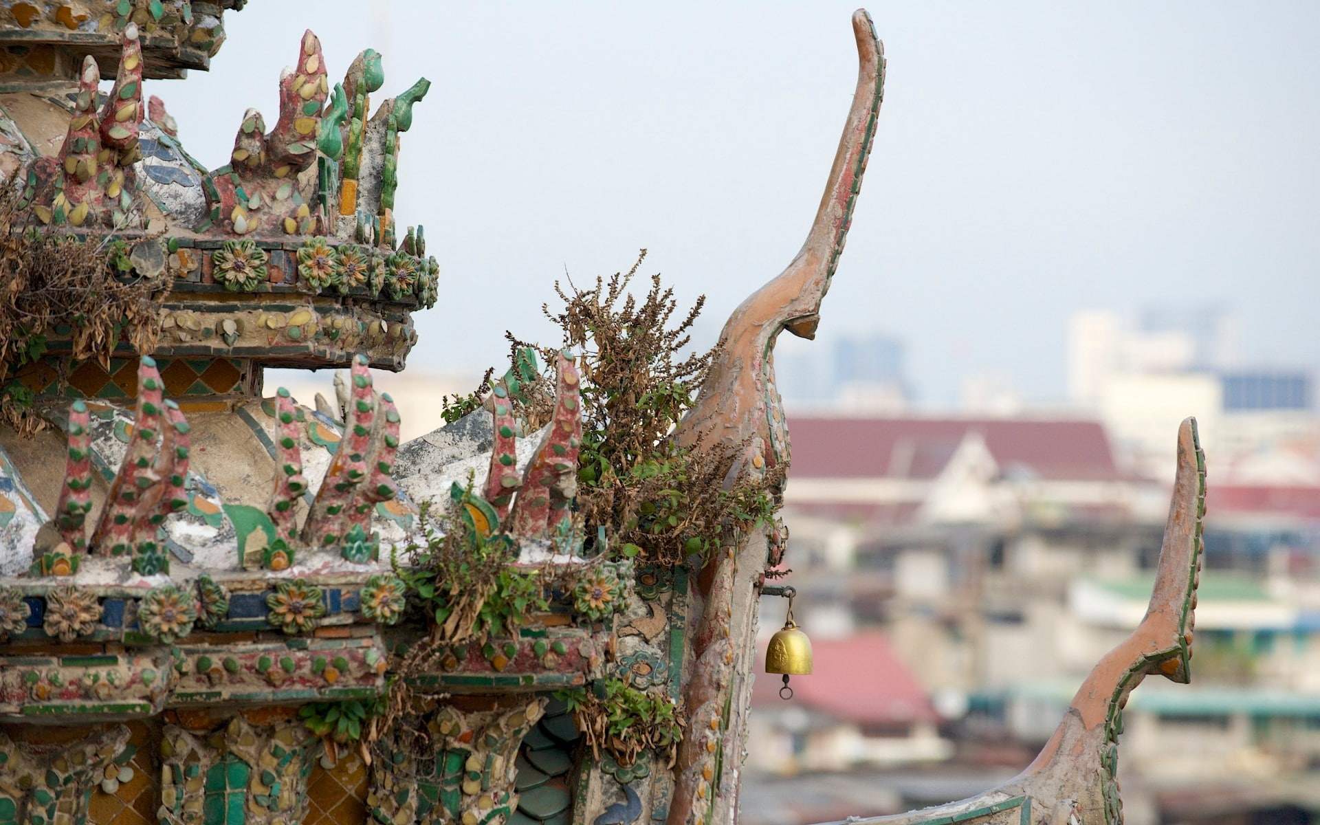 plant, spirituality, building, architecture, wat arun temple, art and craft, outdoors, religion, sculpture, focus on foreground, day, built structure, no people, HD Wallpaper