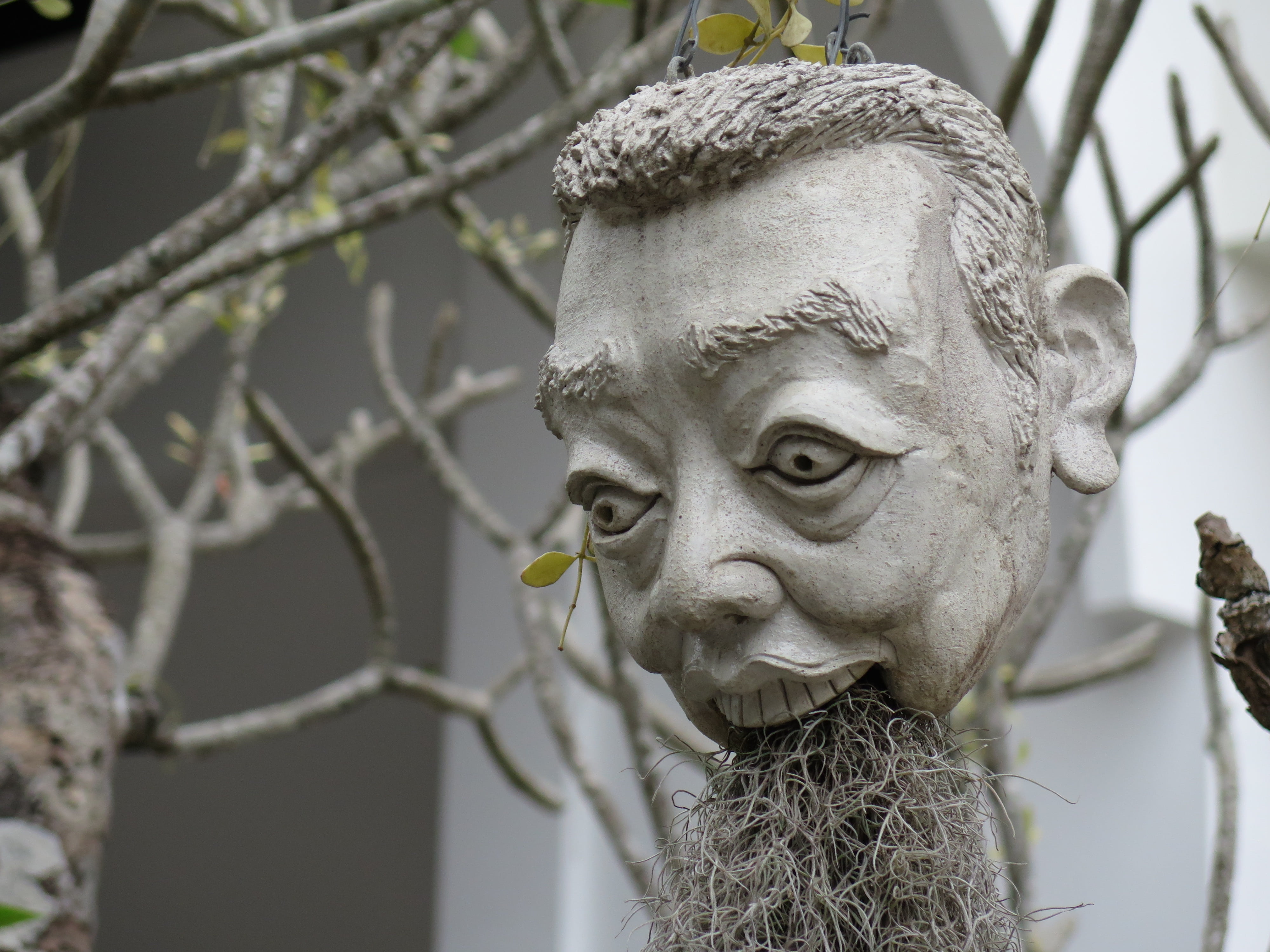sculpture, head, plant, spirituality, statue, close-up, art and craft, 4K, day, male likeness, nature, tree, human representation, focus on foreground, HD Wallpaper