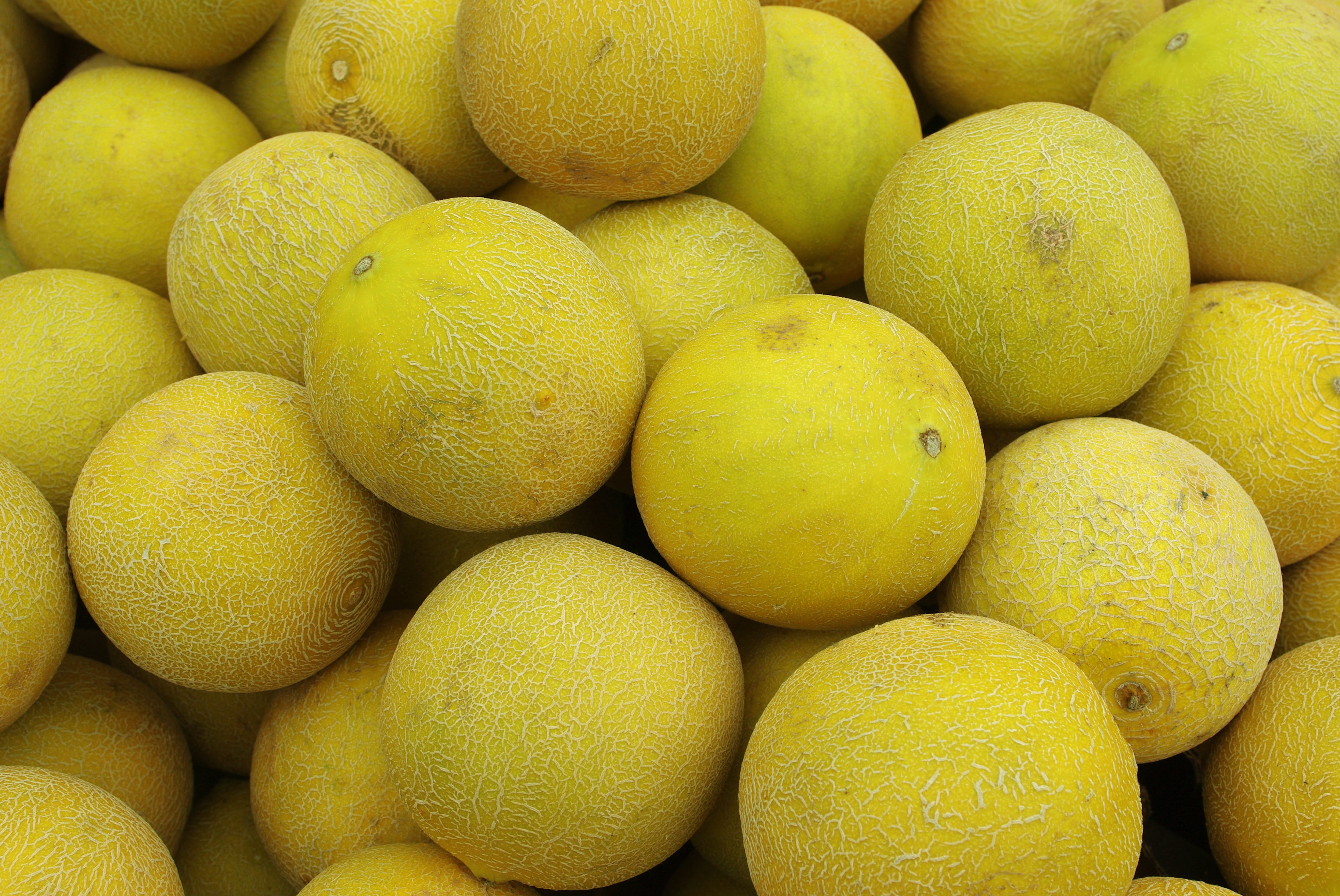cantaloupe, melon, healthy, photo, benefit from, nature, market stall, sour taste, no people, orange, dessert, backgrounds, 4K, close-up, shell, day, food, HD Wallpaper