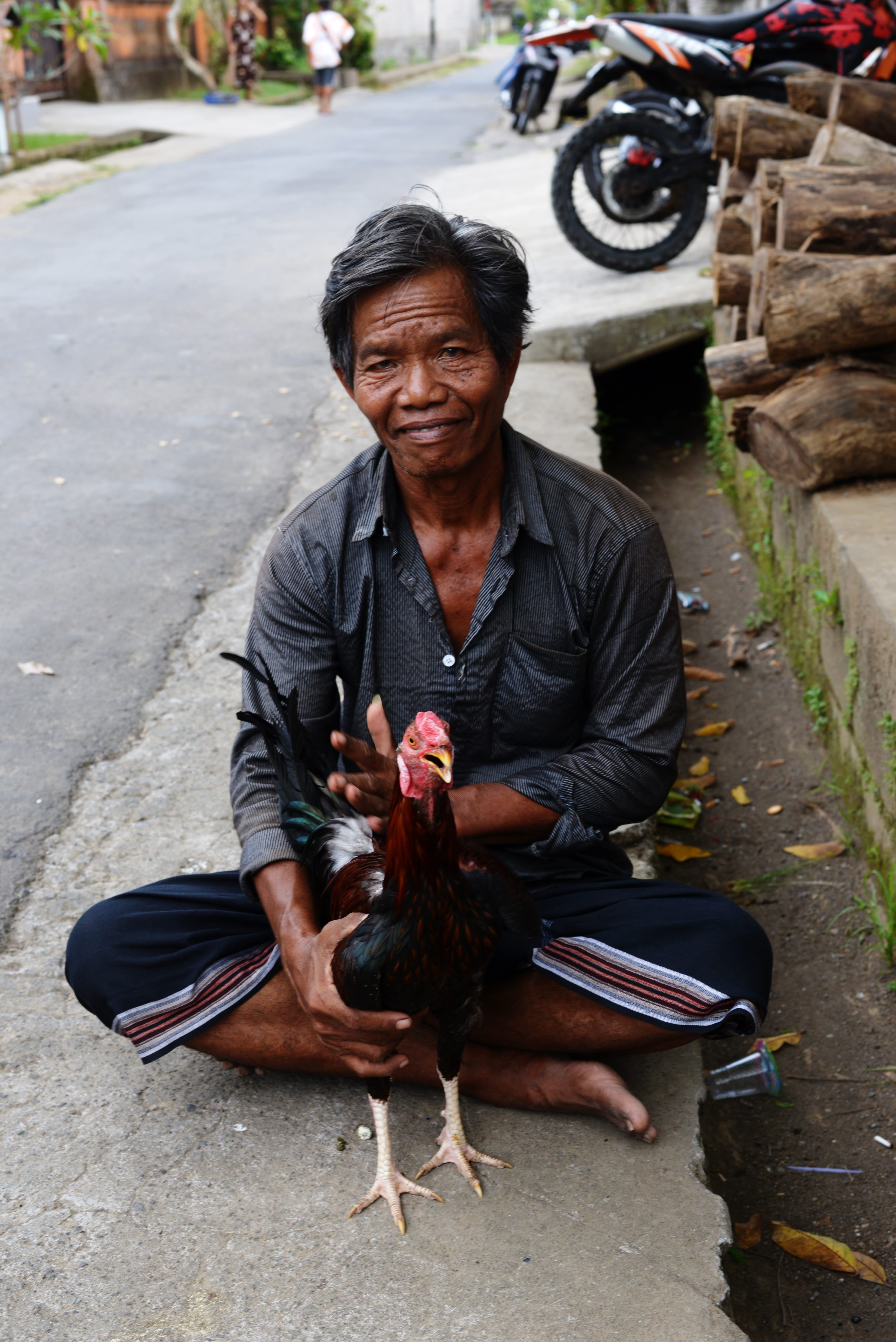 asian, streetphotography, cock fighting, 5K, asia, roadside, bali, vertebrate, real people, looking at the camera, rooster, casual clothing, dark skin, Phone HD Wallpaper