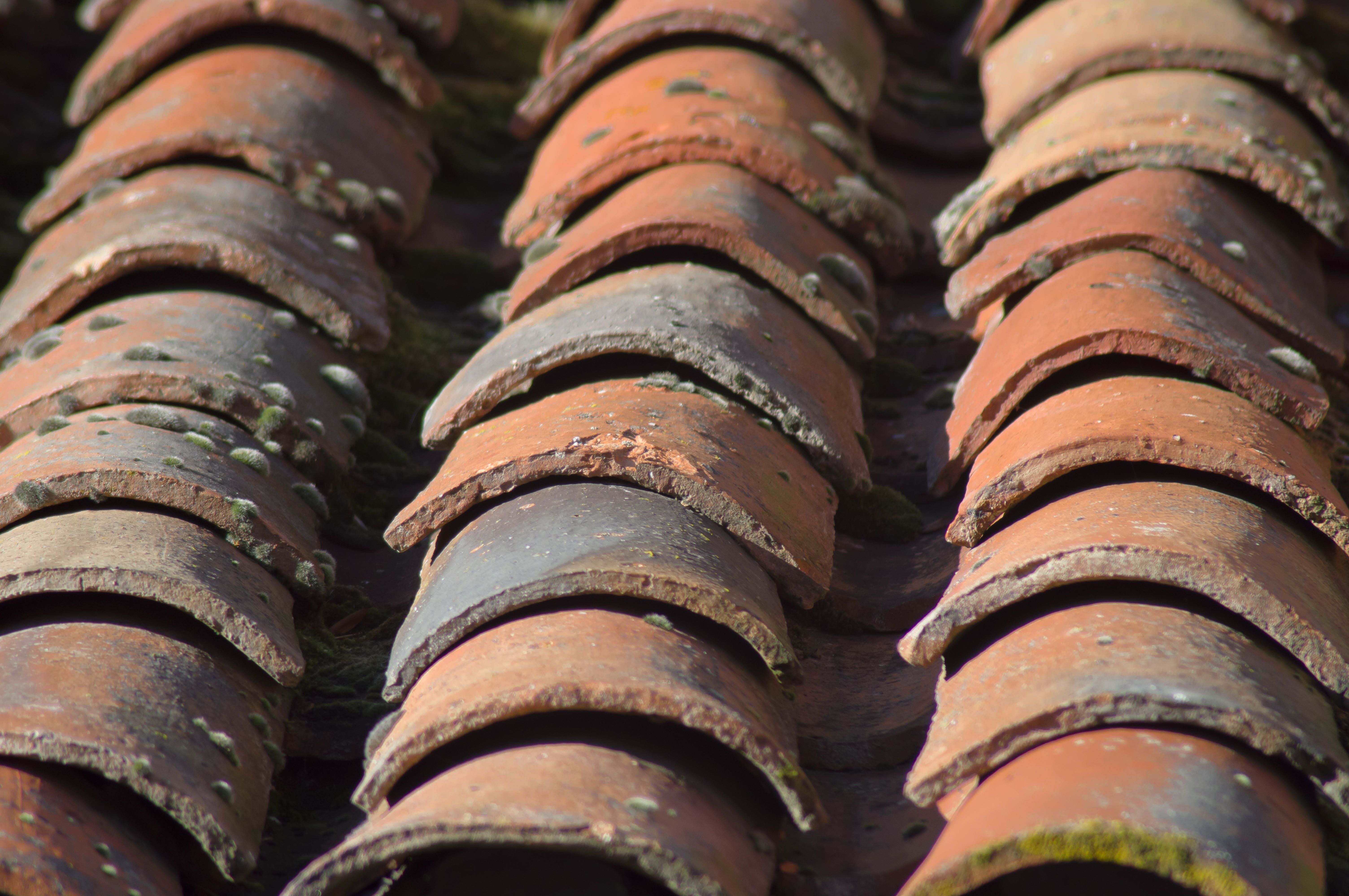 roof, full frame, selective focus, metal, no people, in a row, roofers, high angle view, roofing, rusty, large group of objects, focus on foreground, roof tile, HD Wallpaper