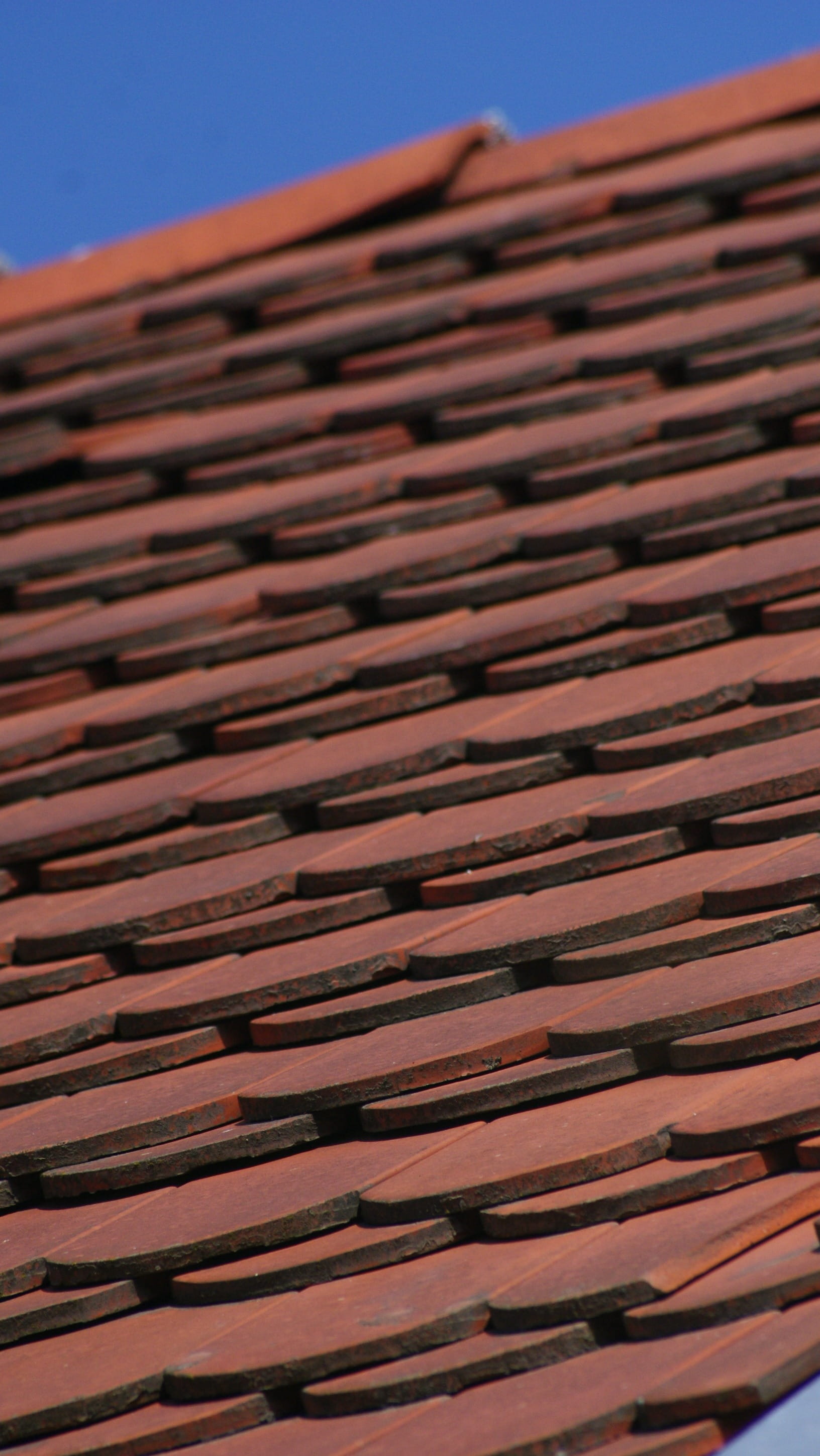 building exterior, pattern, red, in a row, outdoors, clear sky, brown, roof Tile, sky, terracotta, day, Attic, selective focus, no people, House, close-up, Phone HD Wallpaper