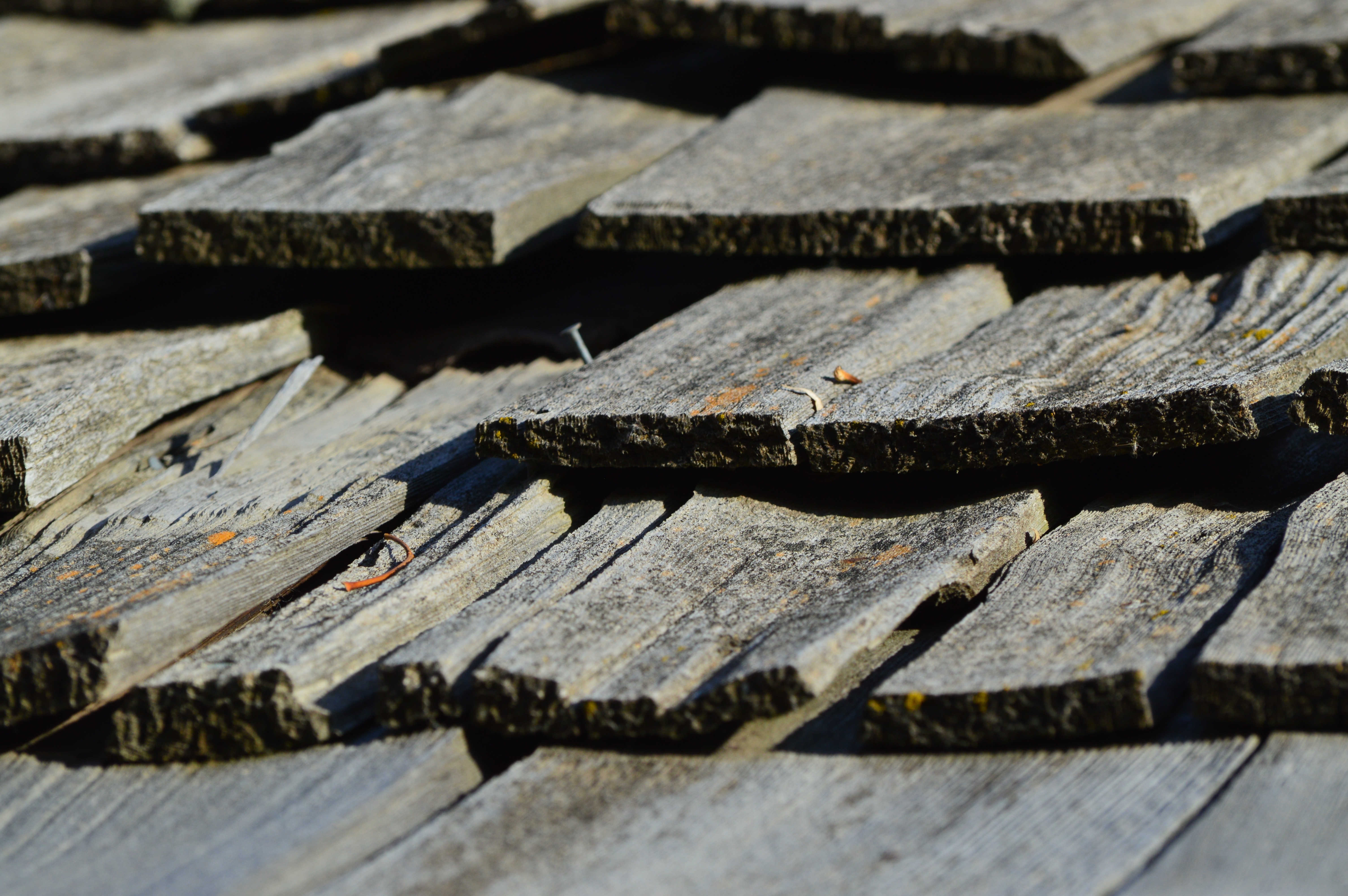 plank, architecture, rooftop, full frame, log, large group of objects, 5K, close-up, lumber industry, selective focus, sunlight, woods, no people, day, HD Wallpaper